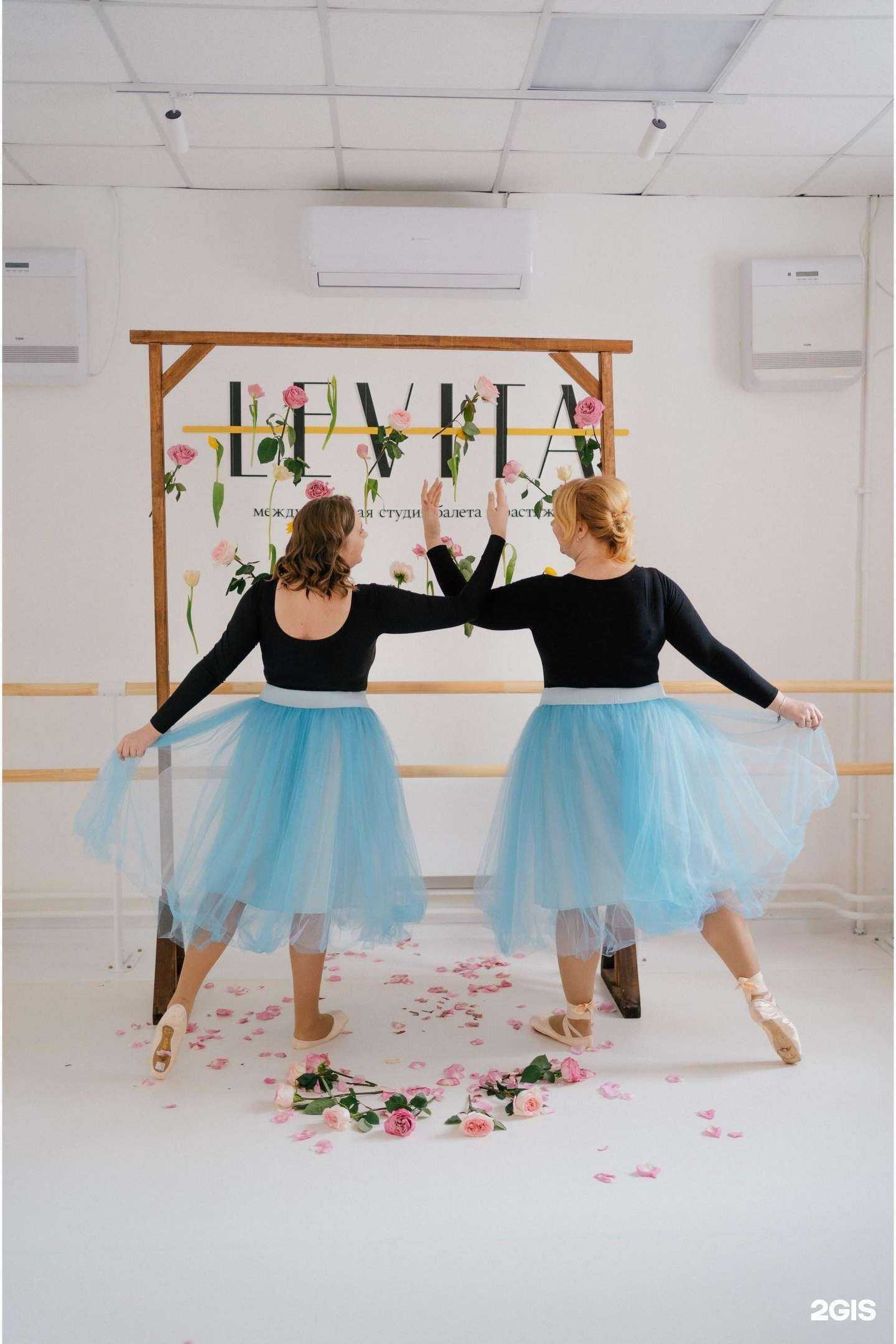 Отзывы на компанию Levita в Красноярске c фото