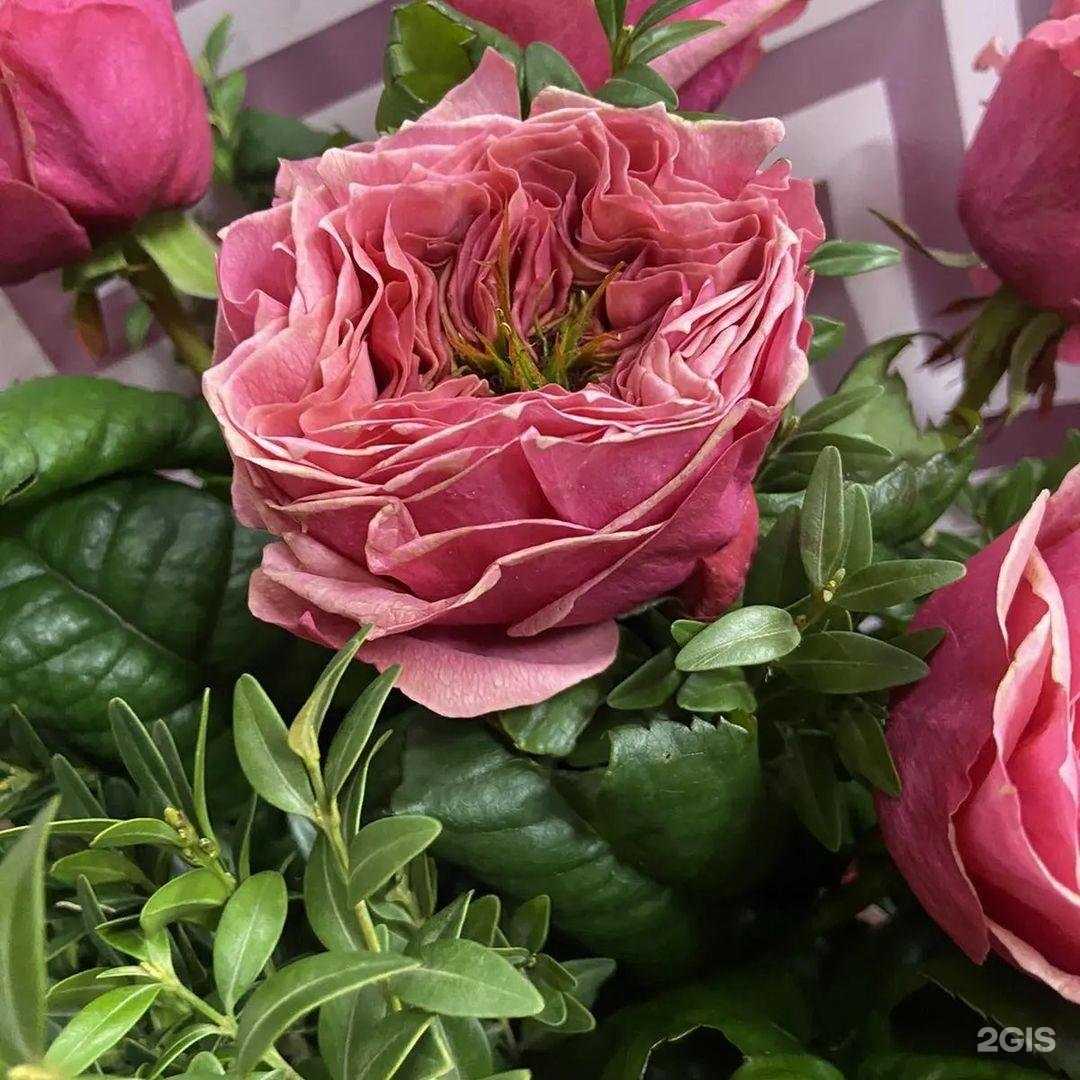 Отзывы на компанию Трава & Розы в Тюмени c фото