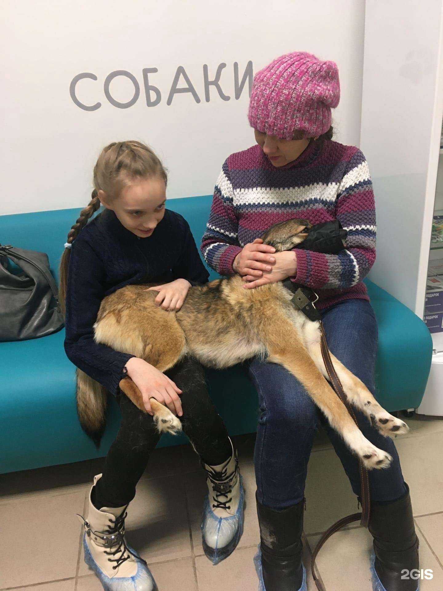 Отзывы на компанию Petsy в г. Родники c фото