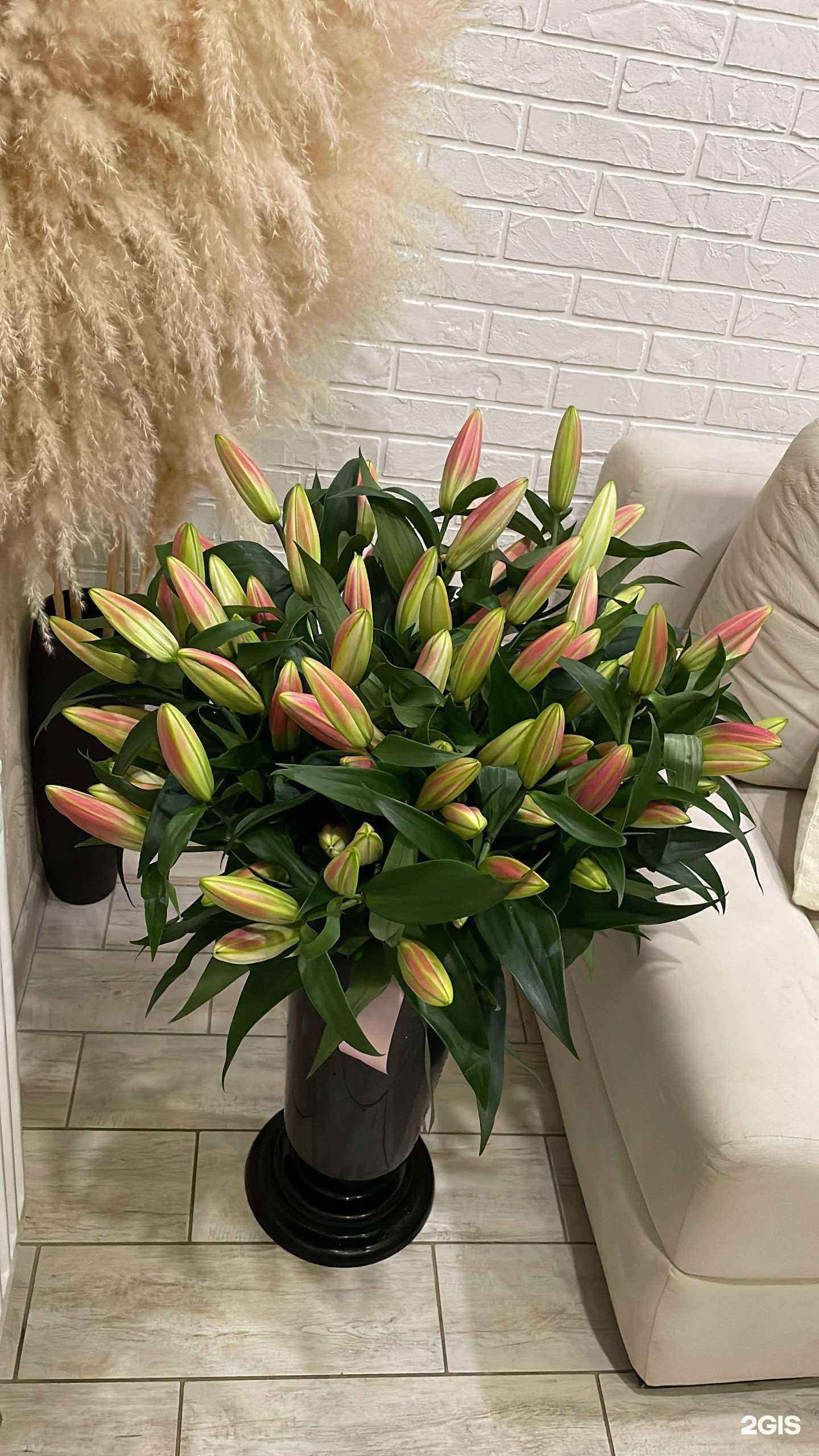 Отзывы на компанию Царь Цветов в г. Краснодар c фото