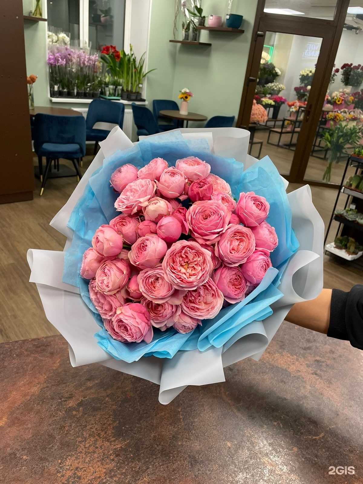 Отзывы на компанию Gflow.Shop в Сочи c фото