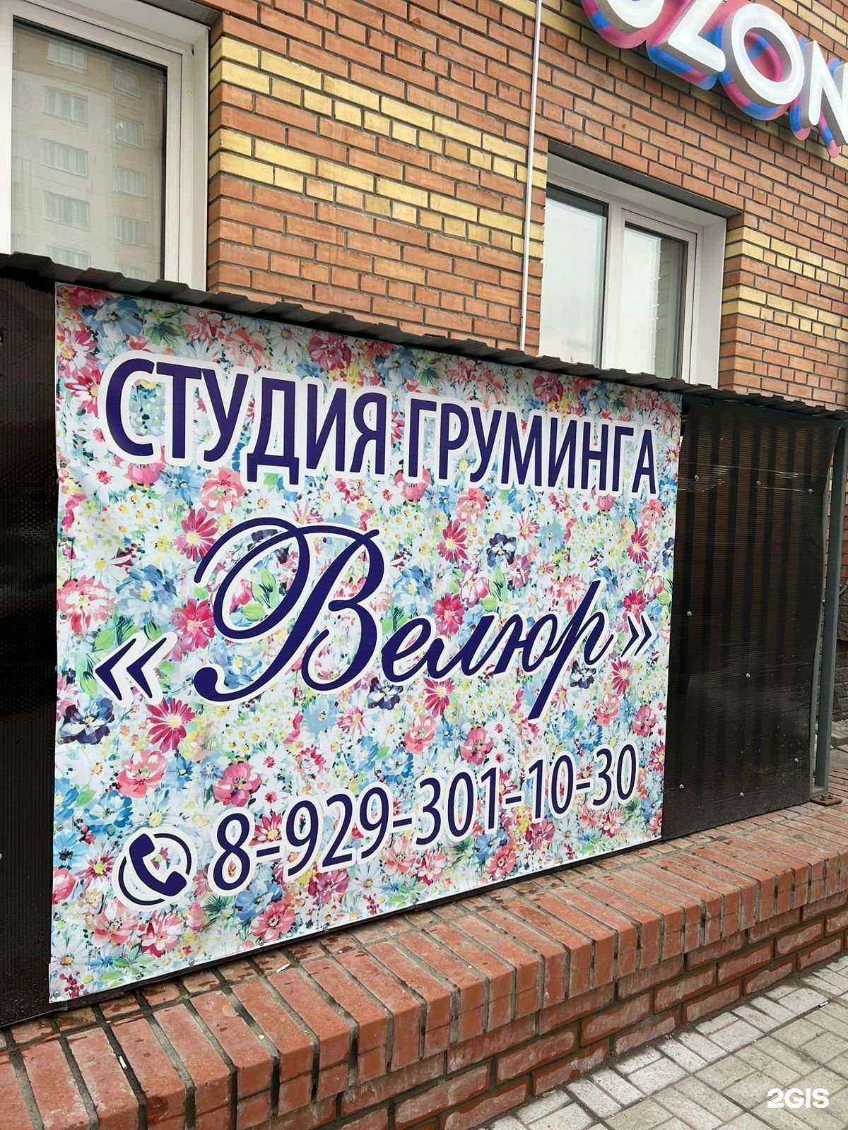 Отзывы на компанию Велюр в г. Омск c фото