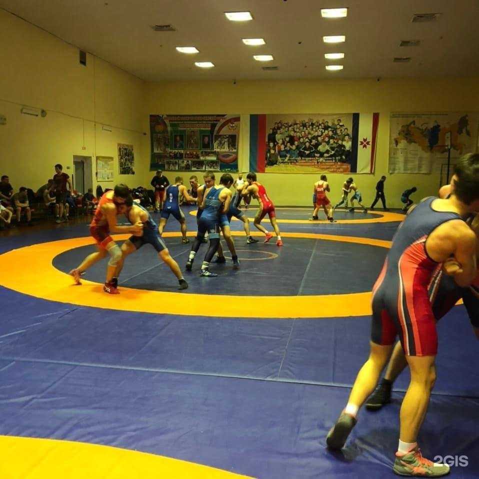 Отзывы на компанию Спортивная школа олимпийского резерва спортивной борьбы и дзюдо А.В. Мишина в г. Саранск c фото