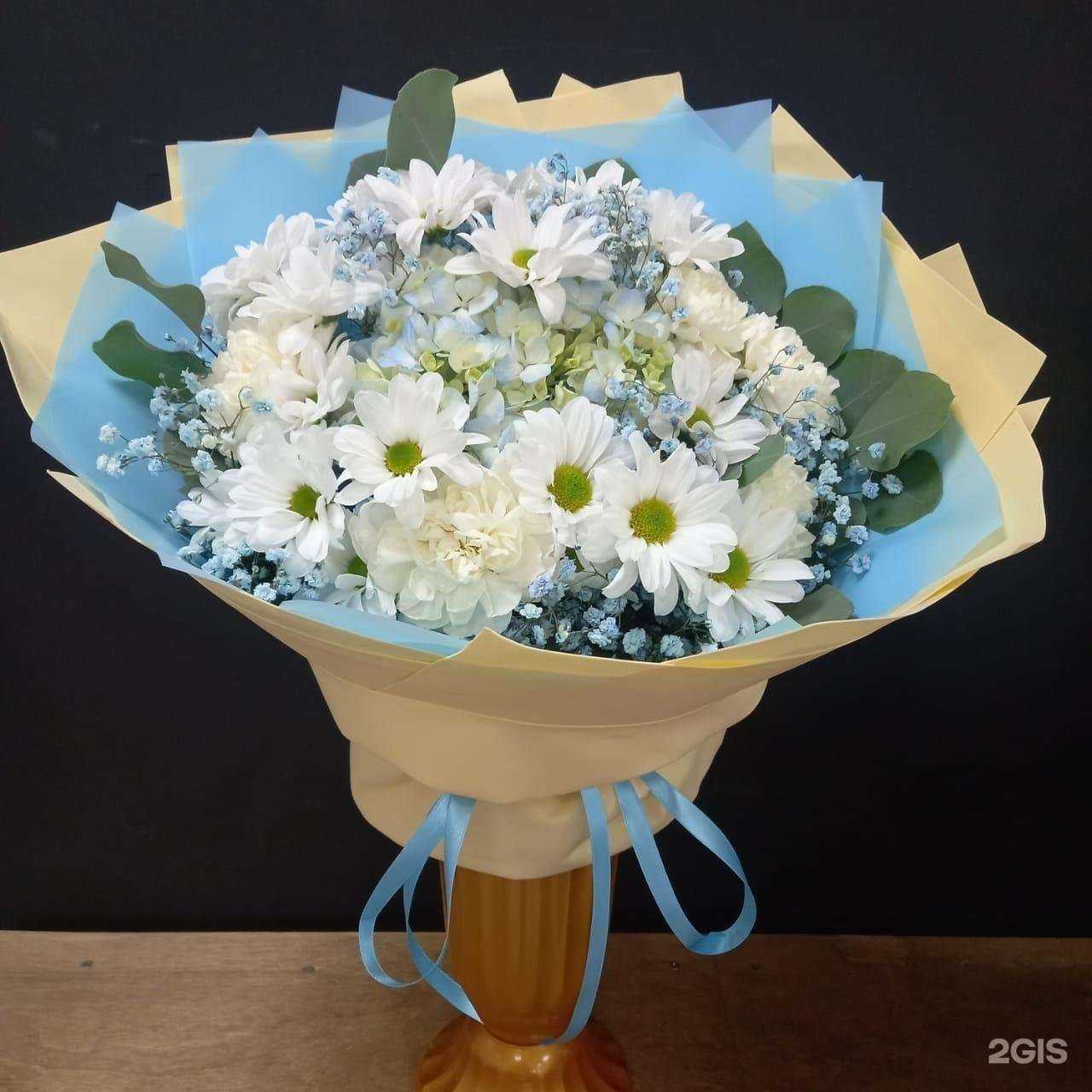 Отзывы на компанию Василёк в Краснодаре c фото