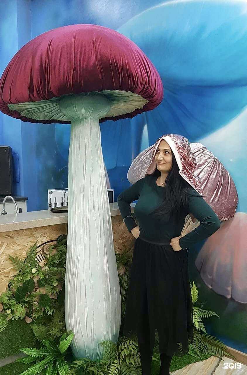 Отзывы на компанию Алиса в стране чудес в г. Волгоград c фото