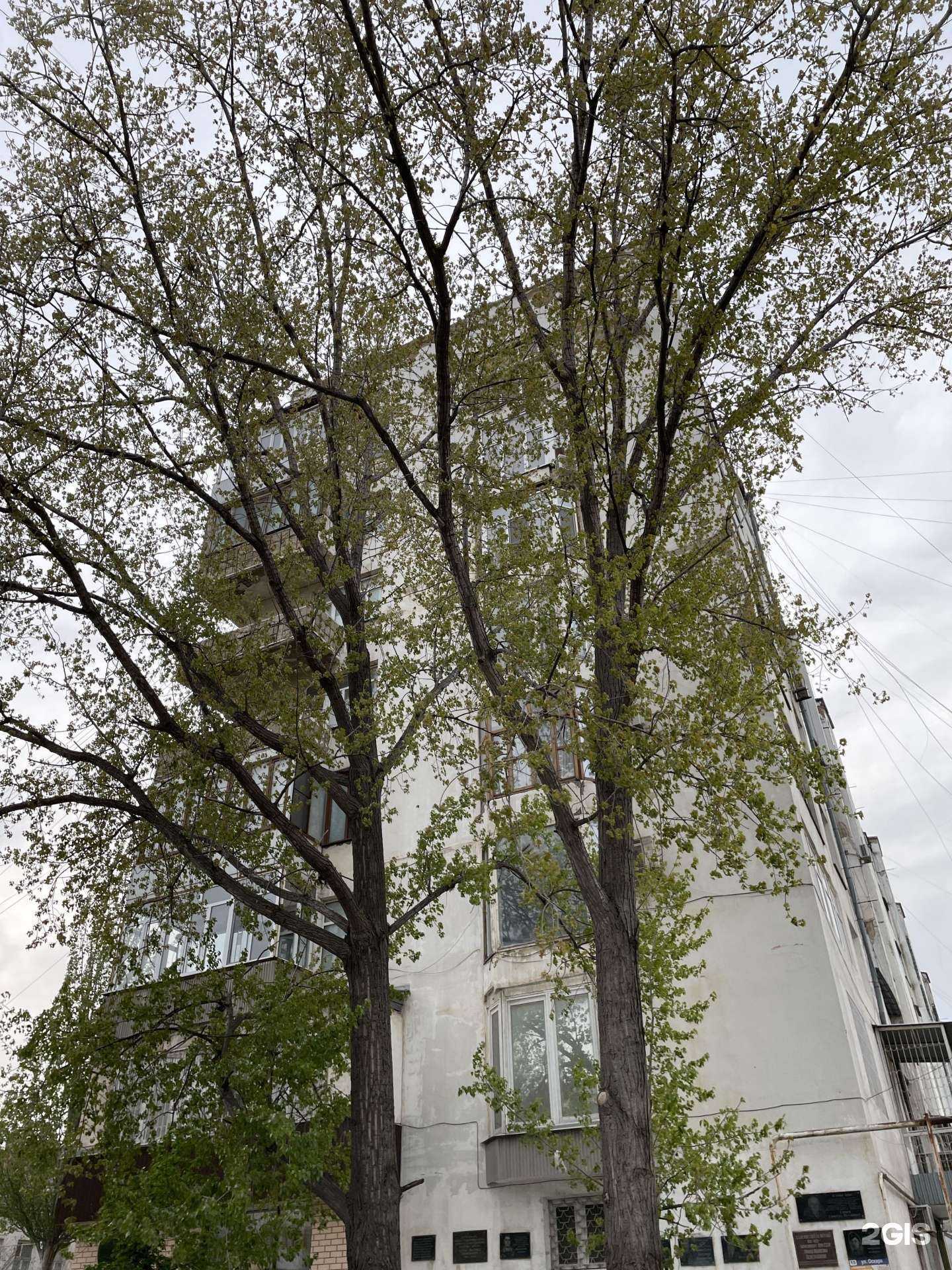 Отзывы на компанию Центральная детская библиотека №1 в Махачкале c фото - фотография 2 из 2