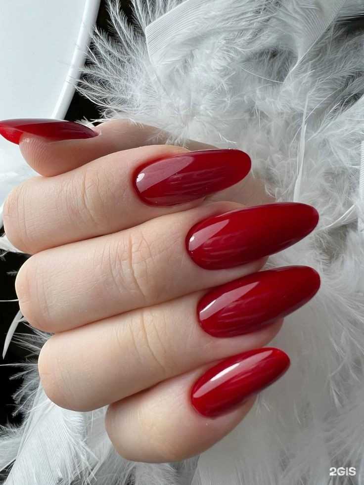 Отзывы на компанию My vishnya в г. Владивосток c фото