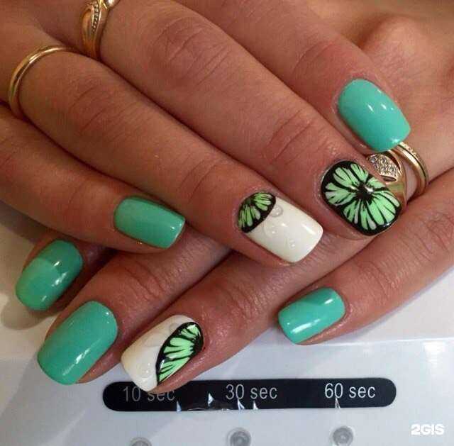 Отзывы на компанию Фиджи в Мурманске c фото