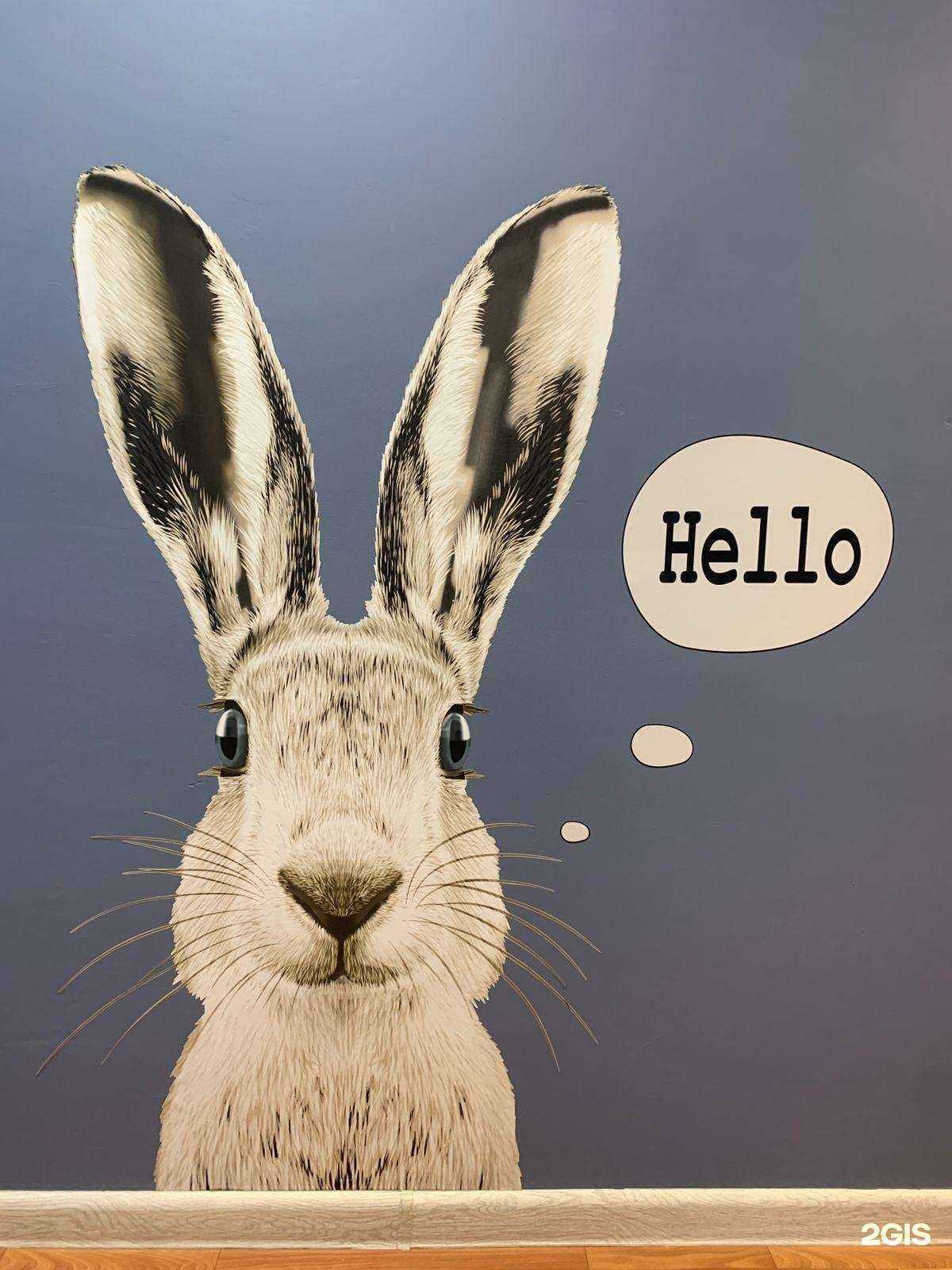 Отзывы на компанию IQ007 в Екатеринбурге c фото