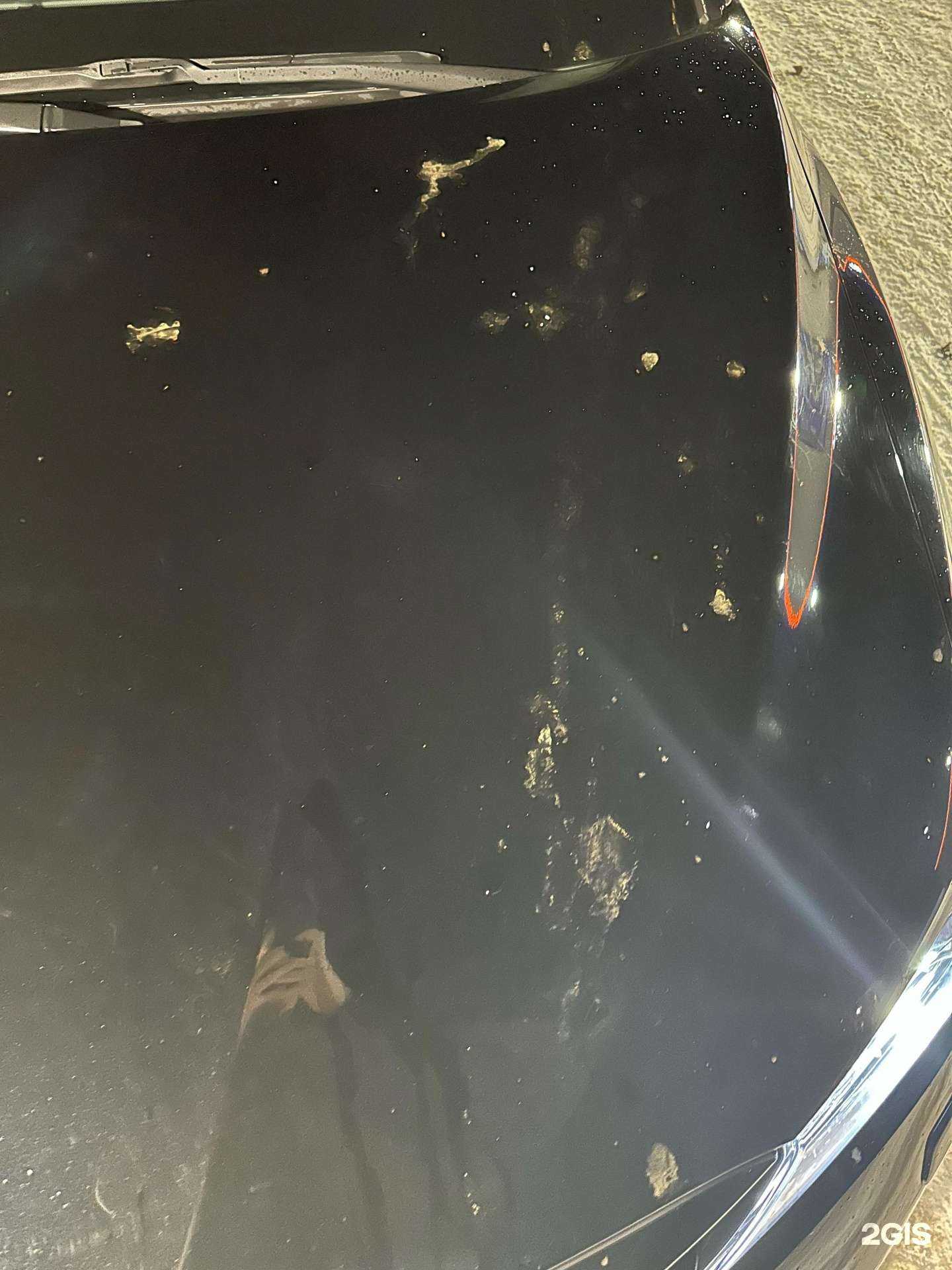 Отзывы на компанию Элвис робот в г. Саратов c фото