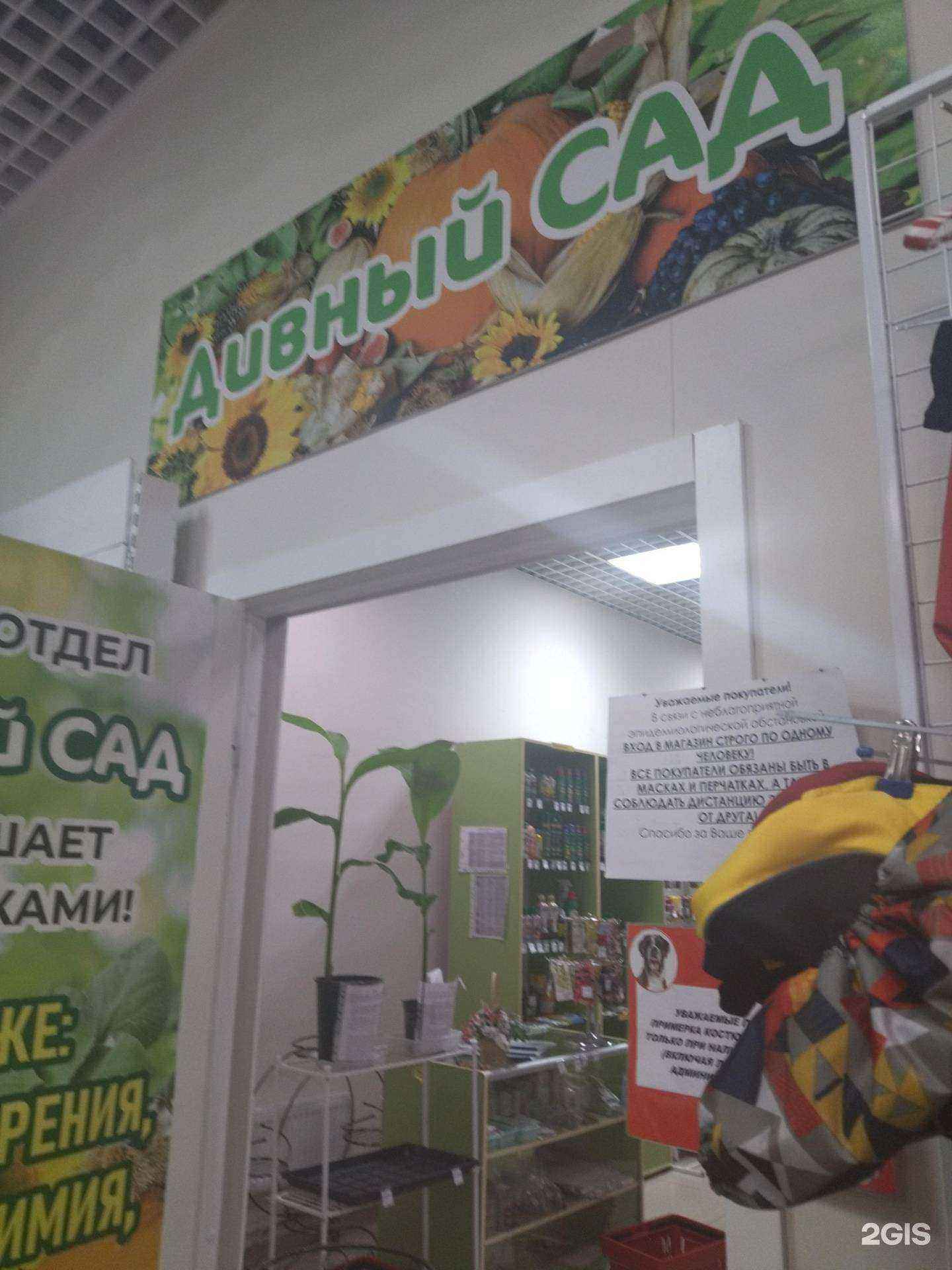 Отзывы на компанию Дивный сад в Кстове c фото