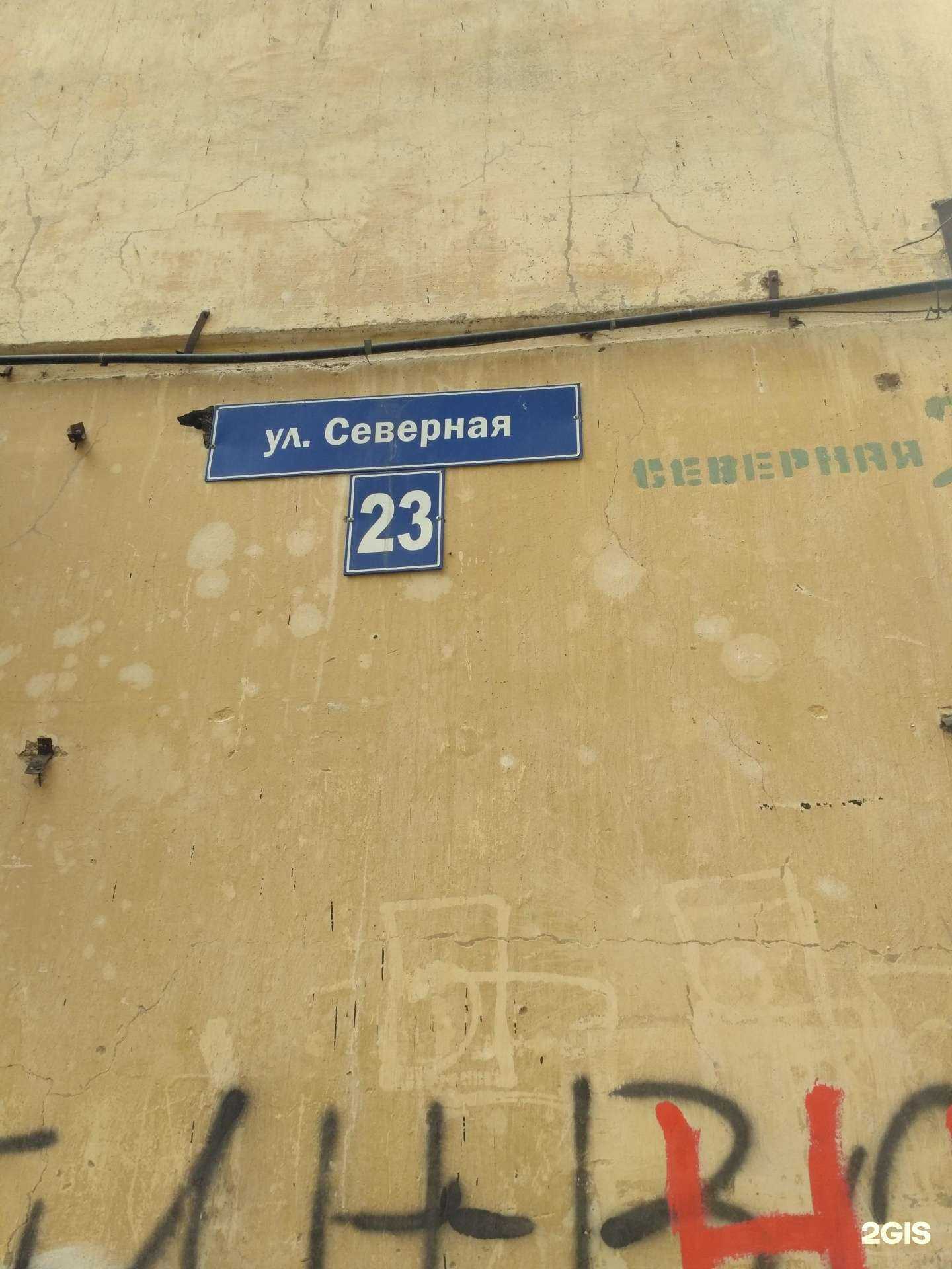 Отзывы на компанию 4 лапы в Рубцовске c фото - фотография 2 из 2