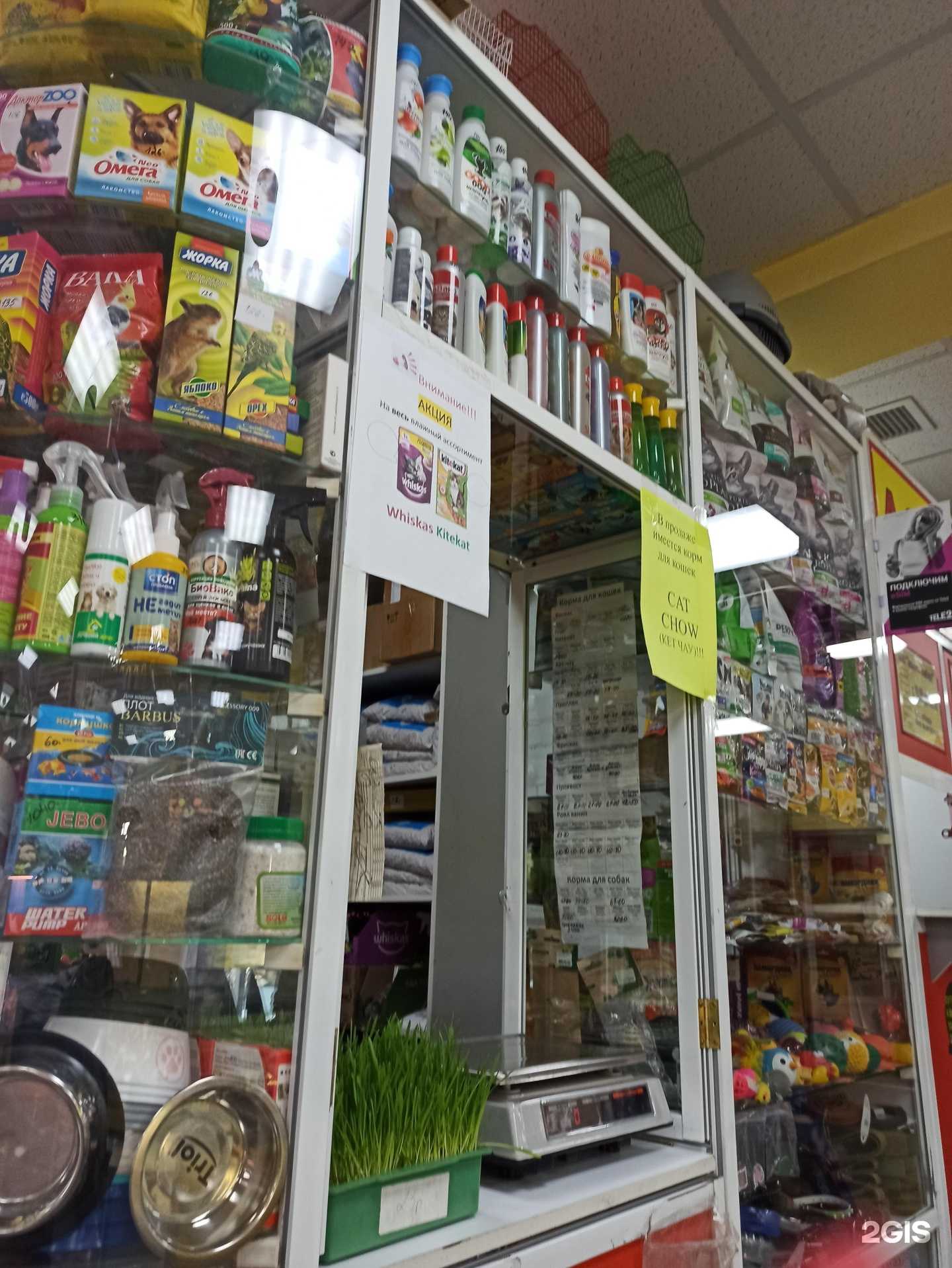 Отзывы на компанию Магазин зоотоваров в Омске c фото