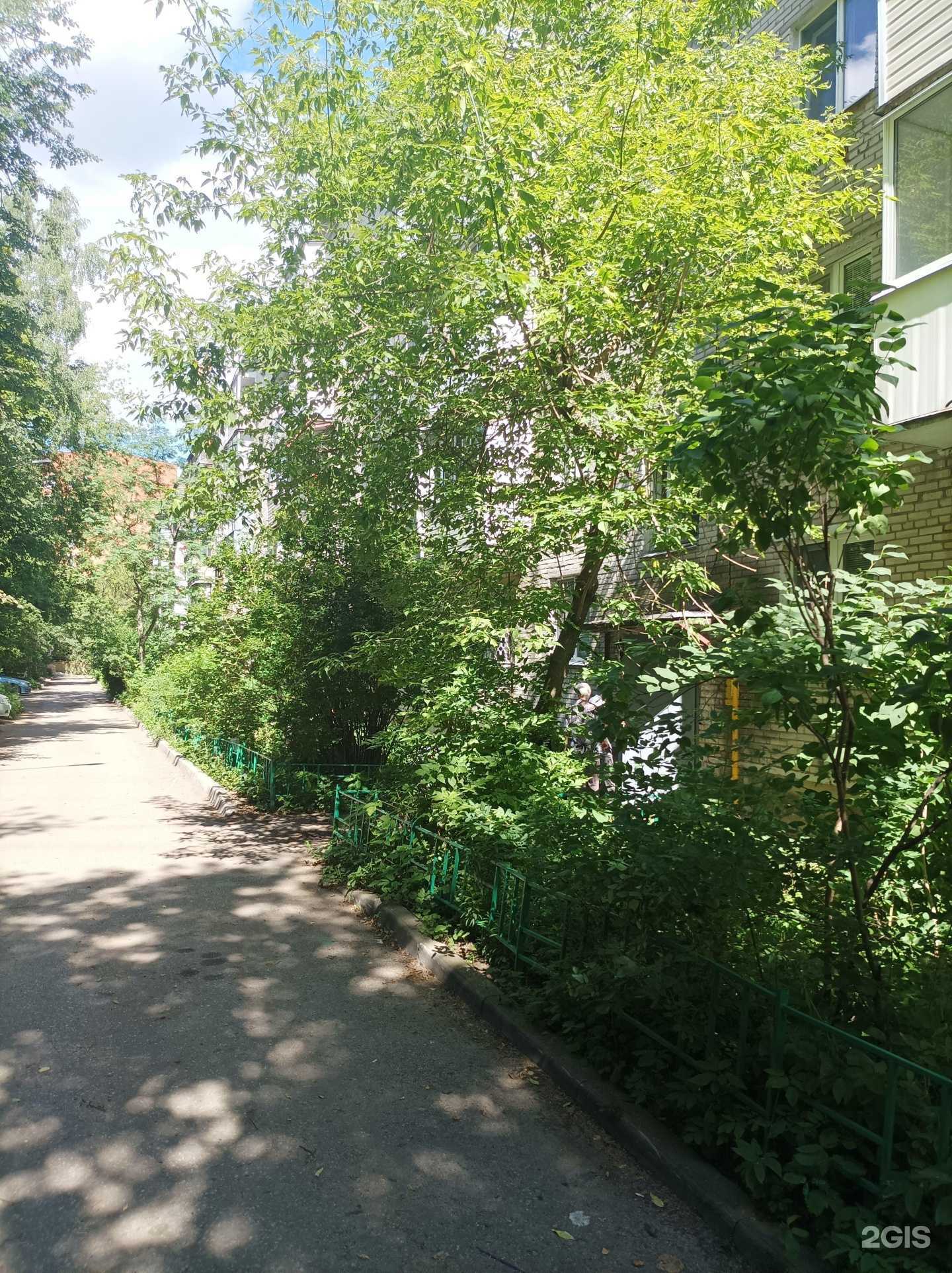 Отзывы на компанию Росгосстрах в Пушкине c фото - фотография 2 из 2