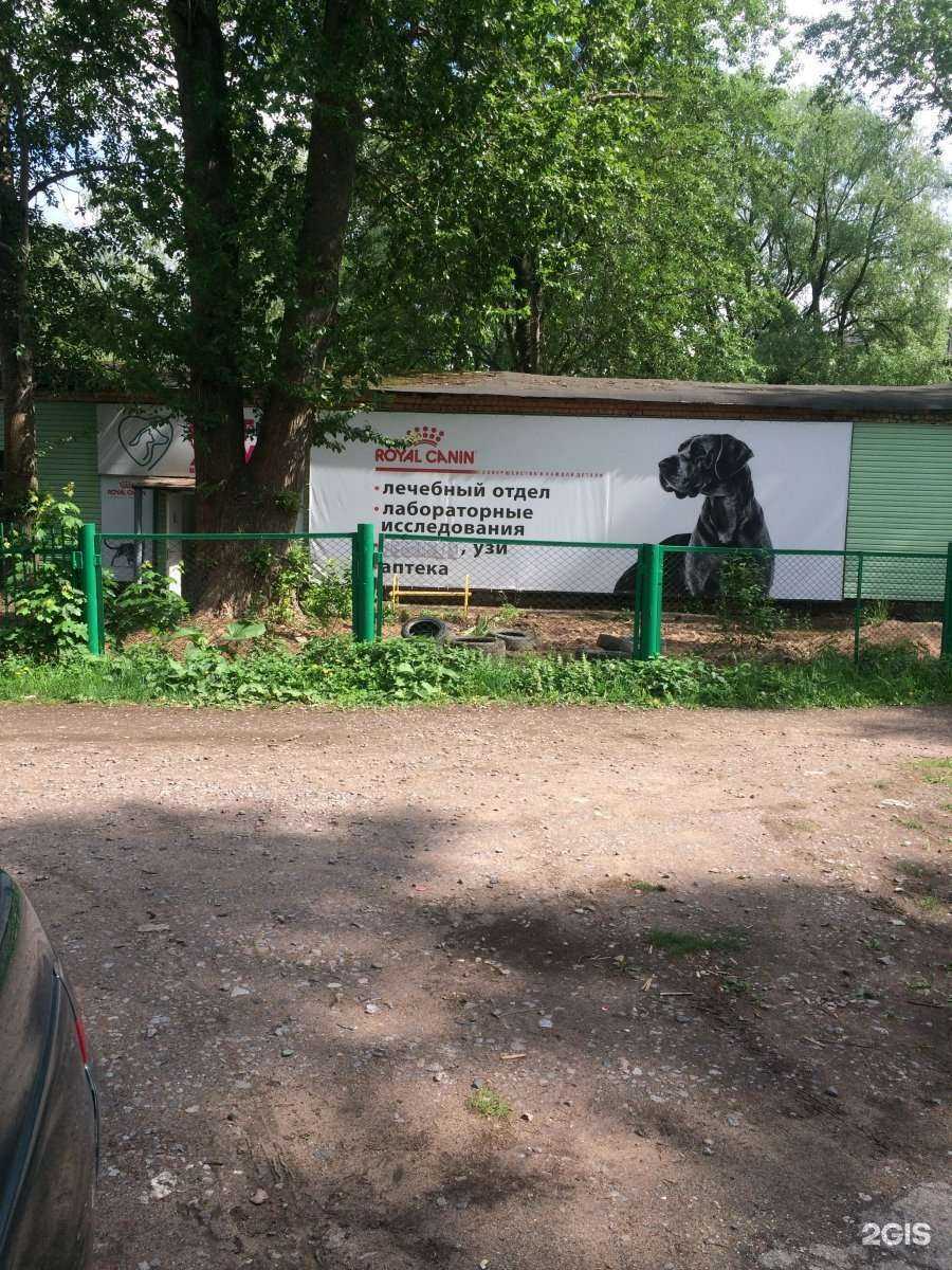 Отзывы на компанию ВетХаус в Великом Новгороде c фото