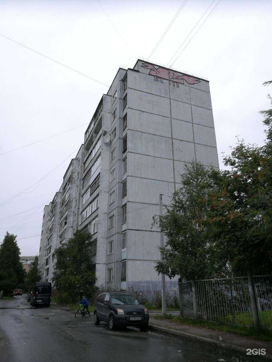 Отзывы на компанию Elite Dog в Архангельске c фото - фотография 2 из 2