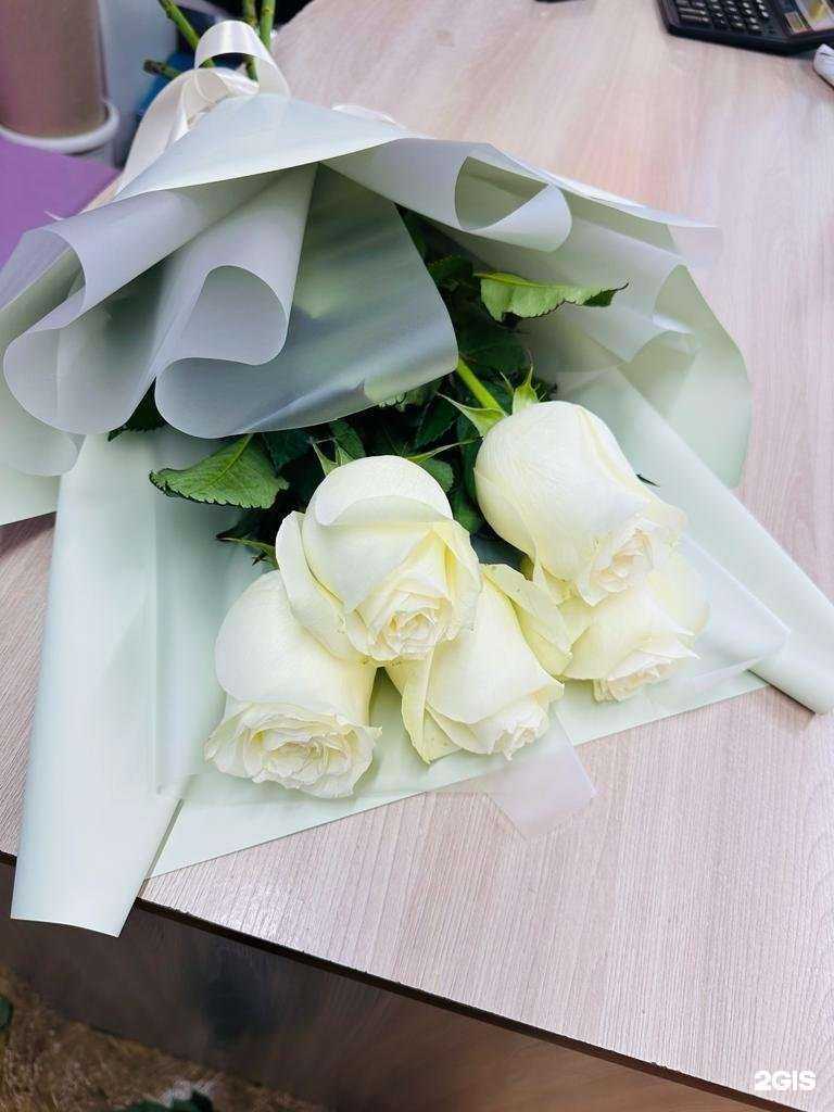 Отзывы на компанию Ева в Омске c фото