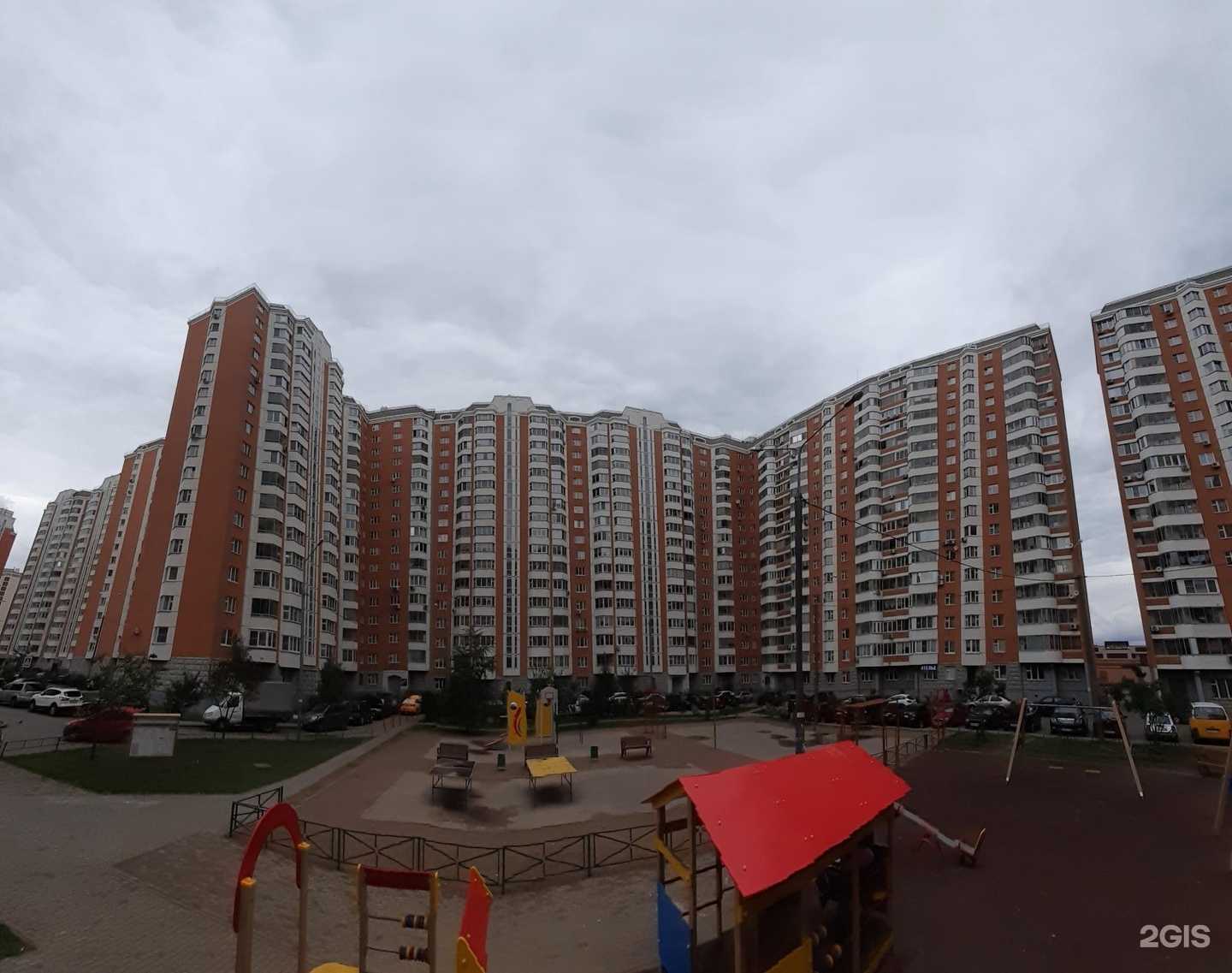 Отзывы на компанию Кот полиглот в Лобне c фото - фотография 2 из 2