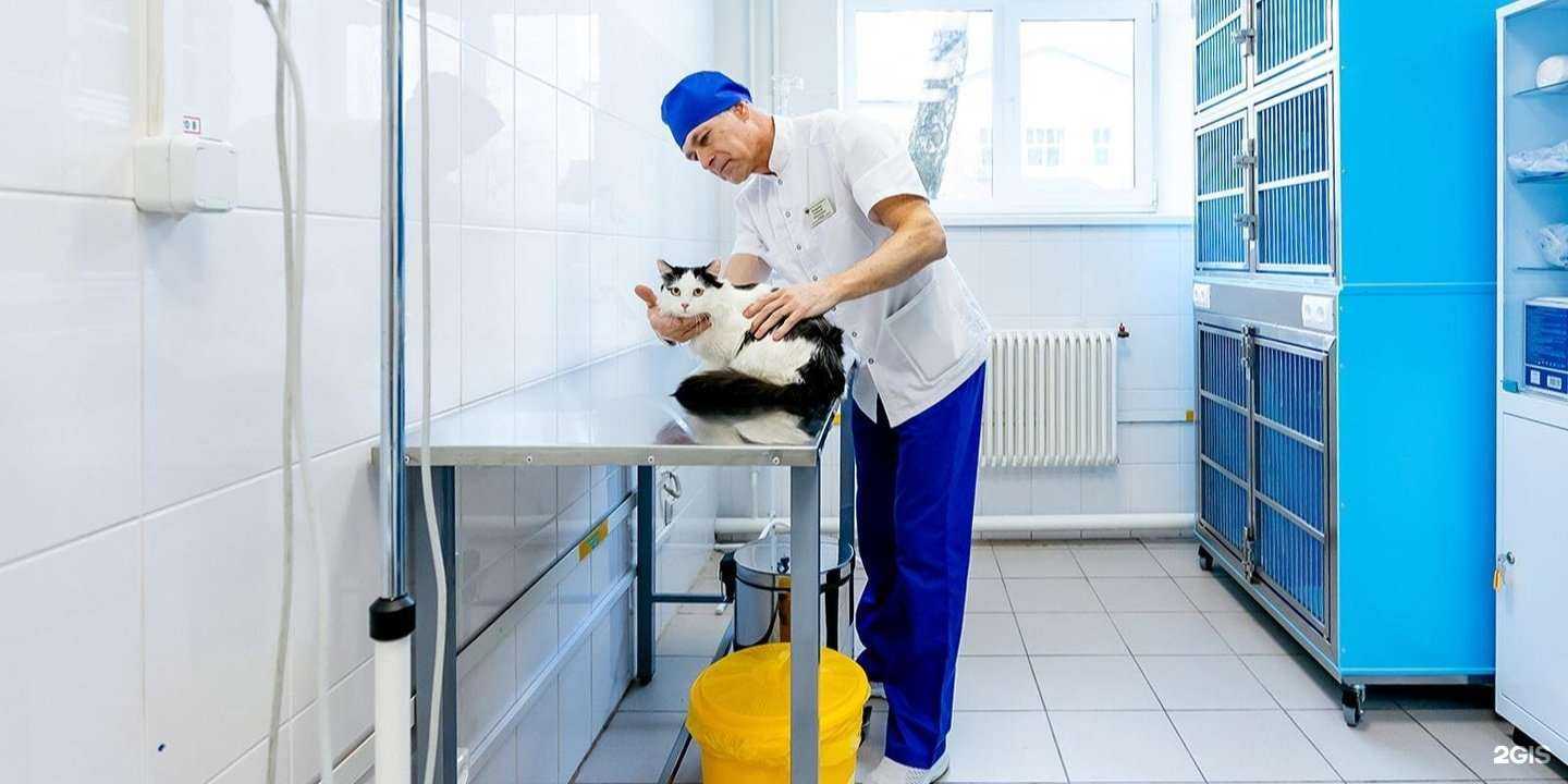 Отзывы на компанию Московское объединение ветеринарии в Отрадном c фото