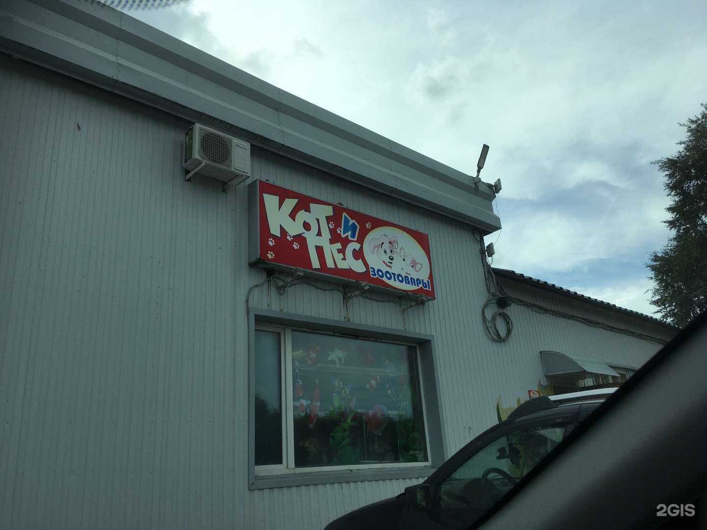 Отзывы на компанию Кот и Пёс в г. Северодвинск c фото