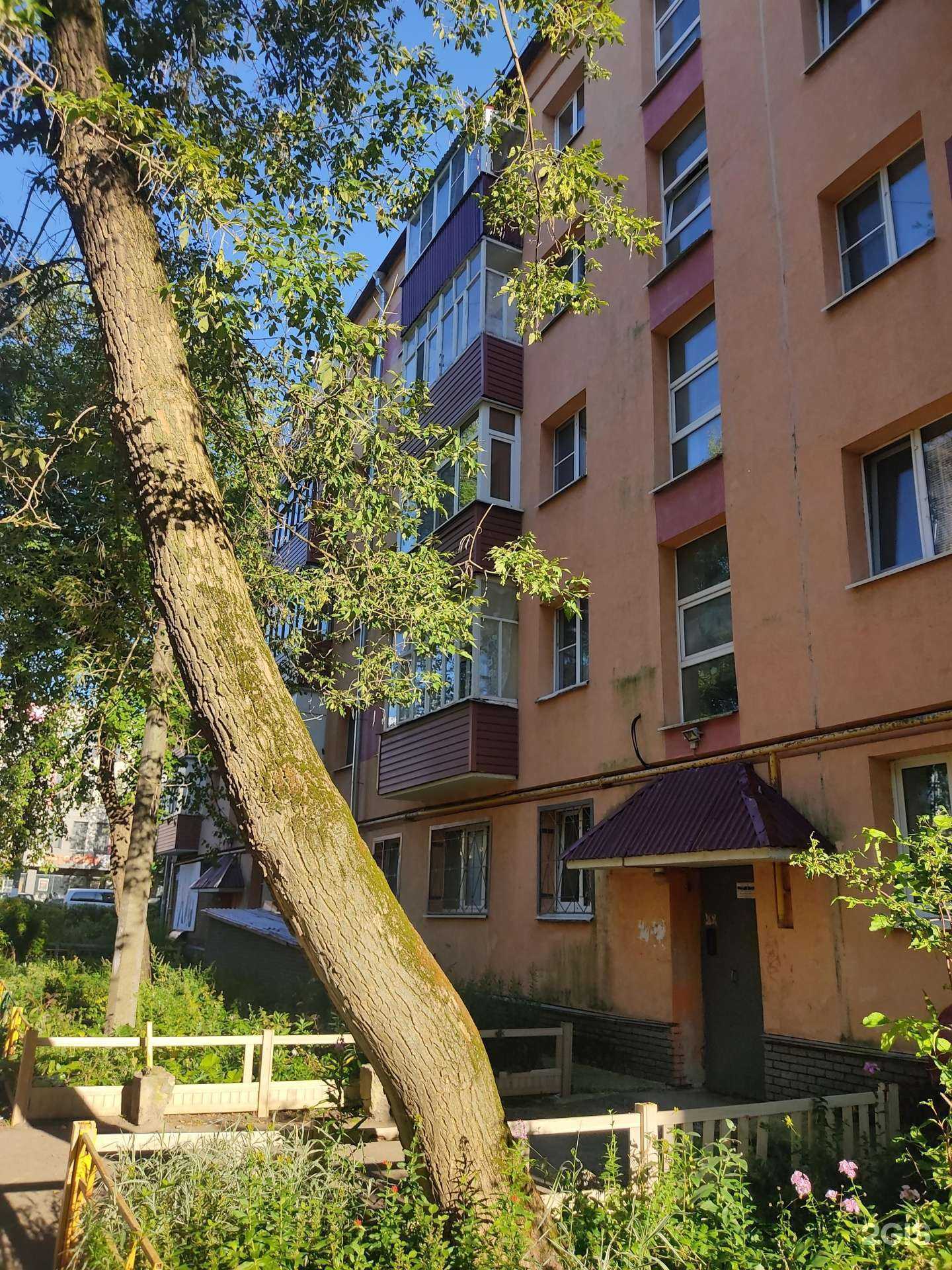 Отзывы на компанию Amadeo в Арзамасе c фото - фотография 2 из 2