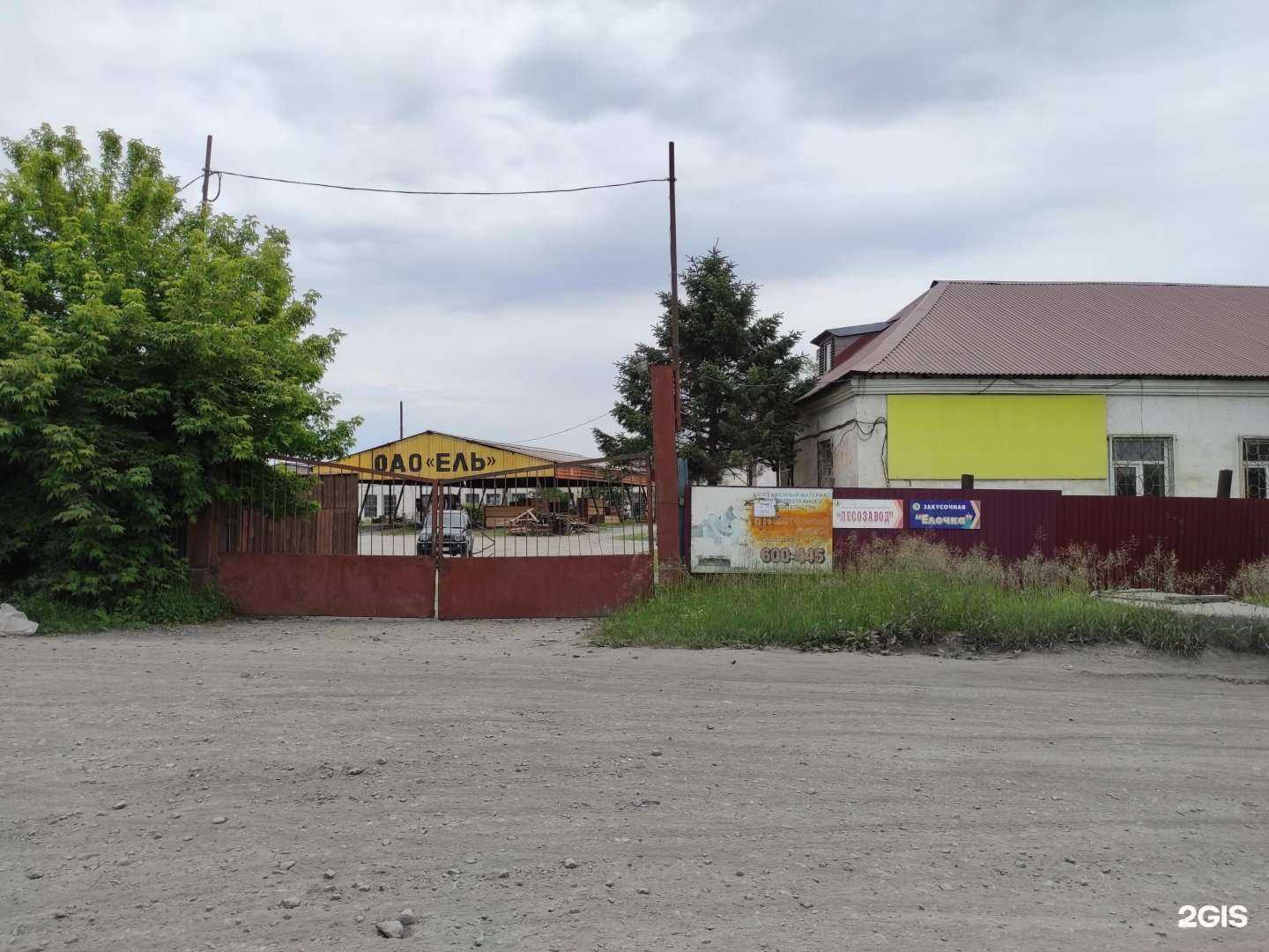 Отзывы на компанию Ель в Находке c фото