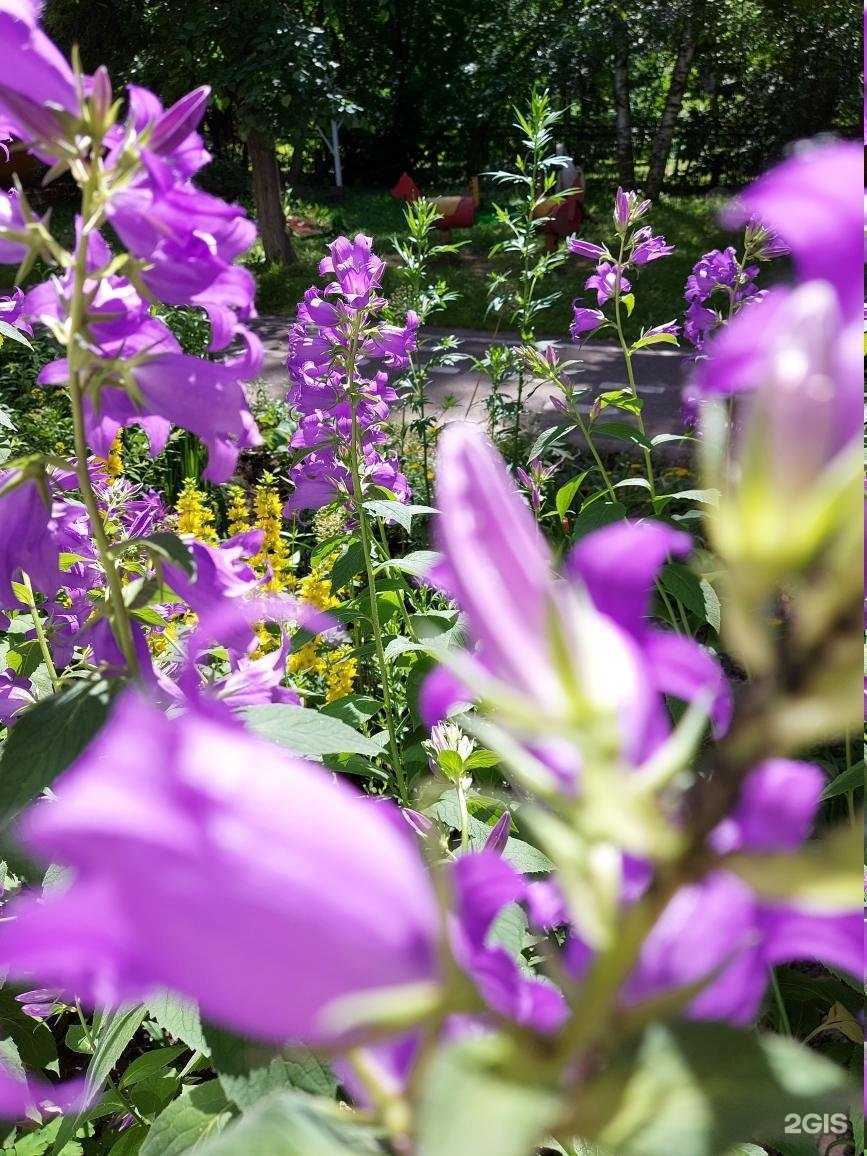 Отзывы на компанию Снежинка в Череповце c фото