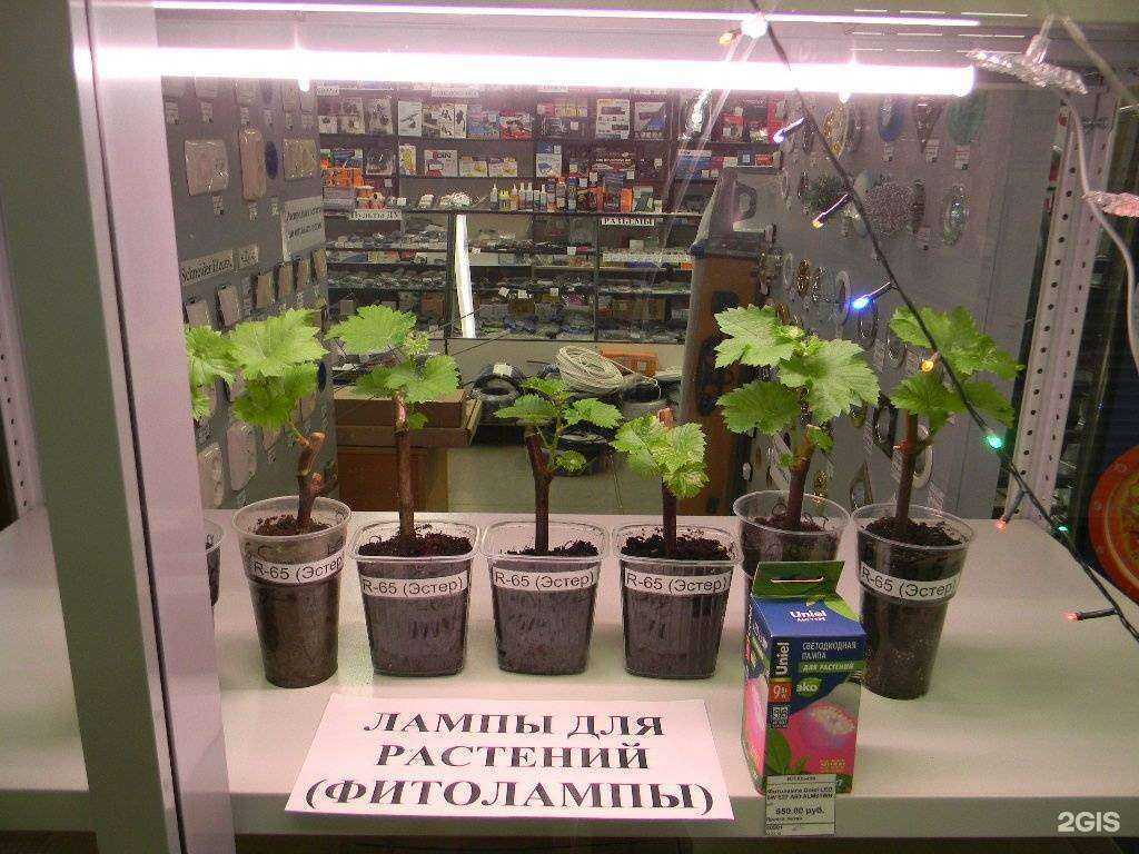 Отзывы на компанию Орион в г. Воронеж c фото