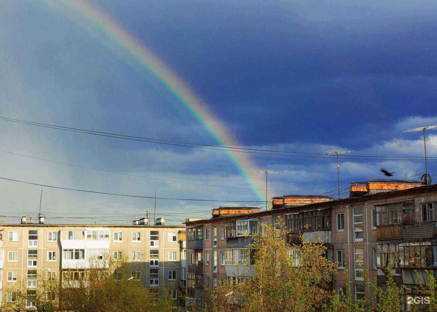 Отзывы на компанию Доверие в Каменске-Уральском c фото - фотография 2 из 2