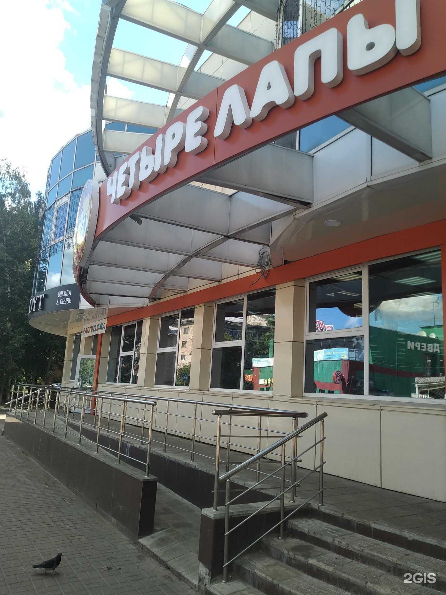 Отзывы на компанию Четыре лапы в Электростали c фото