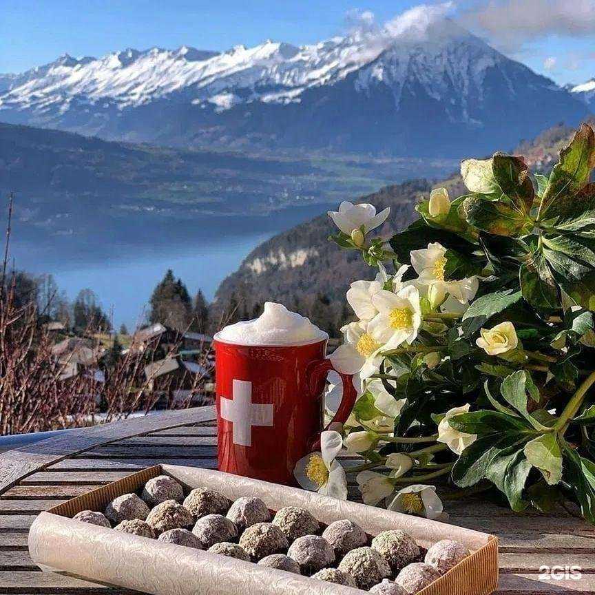 Отзывы на компанию Авиакасса в г. Краснодар c фото