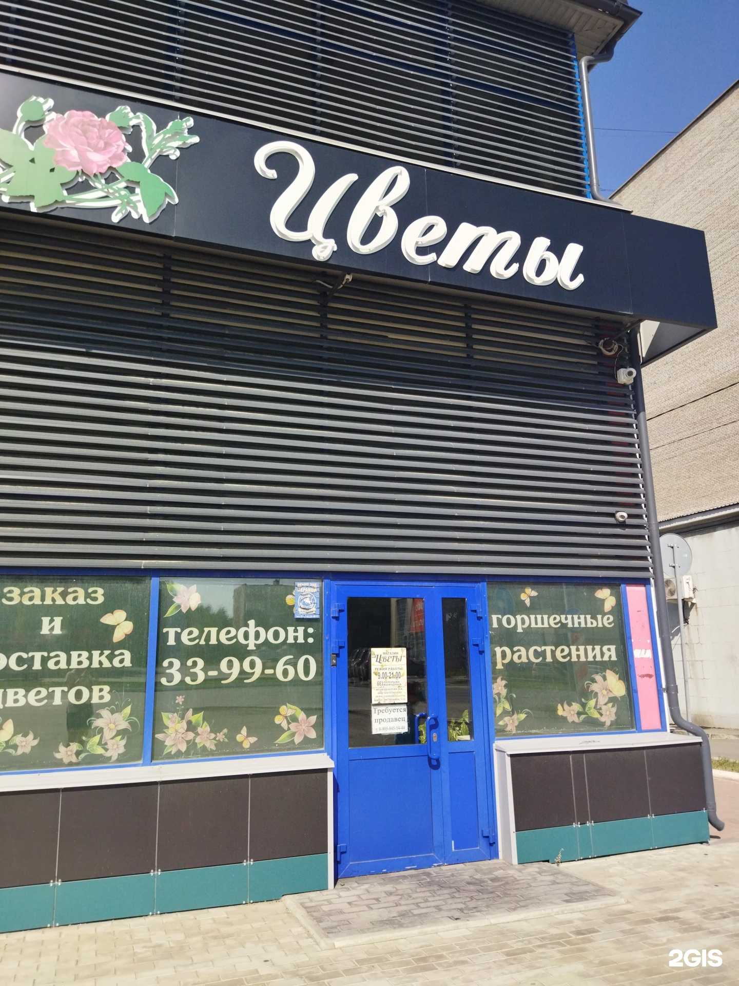 Отзывы на компанию Магазин цветов в Орске c фото