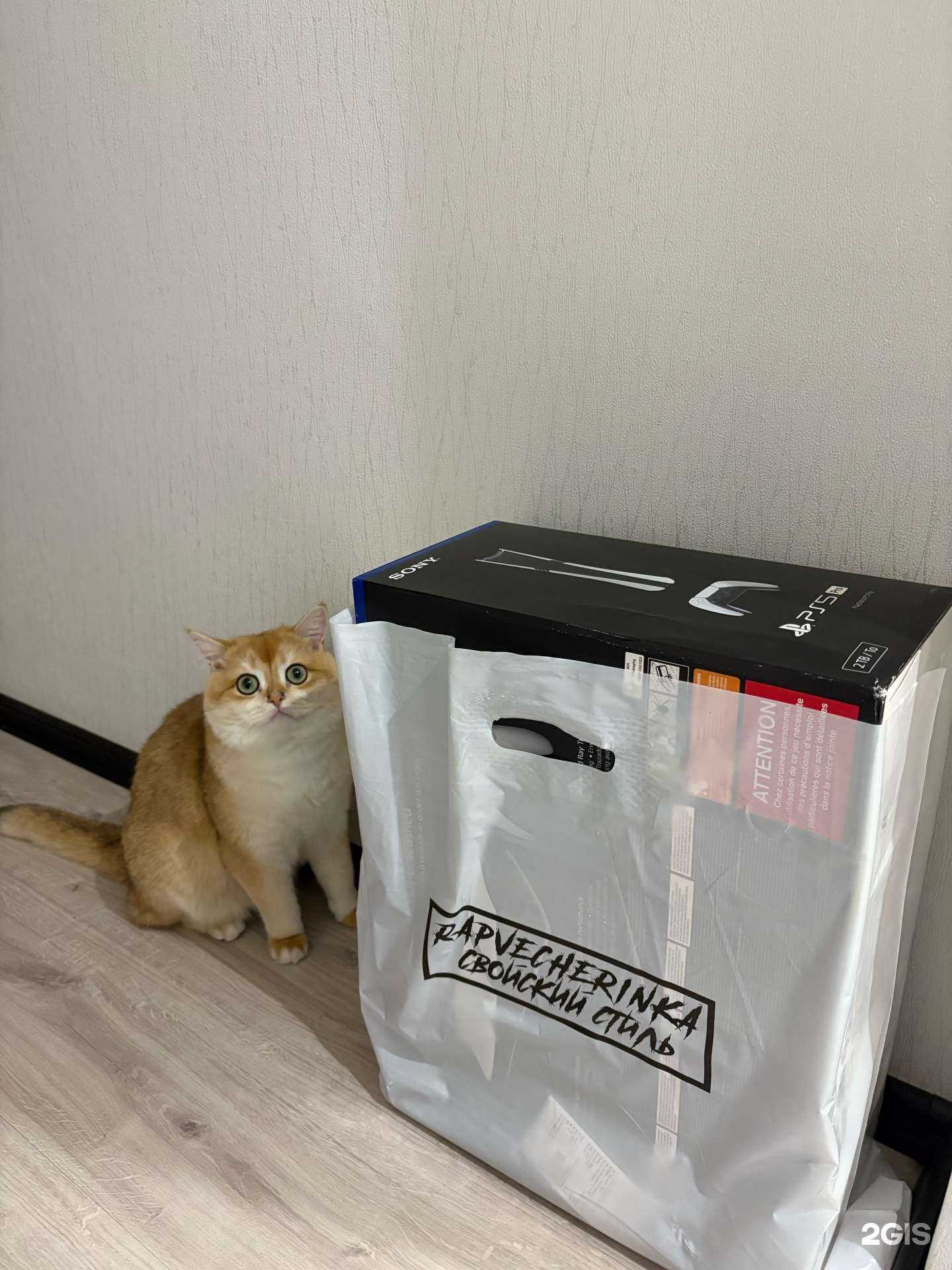 Отзывы на компанию Let’s Play  в г. Петропавловск-Камчатский c фото