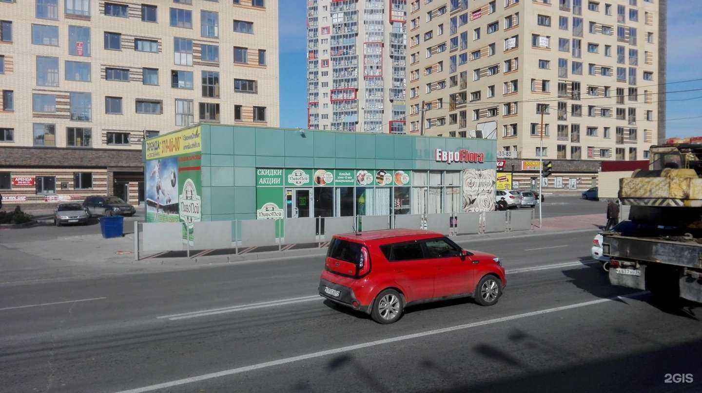 Отзывы на компанию Еврофлора в Новосибирске c фото - фотография 2 из 2