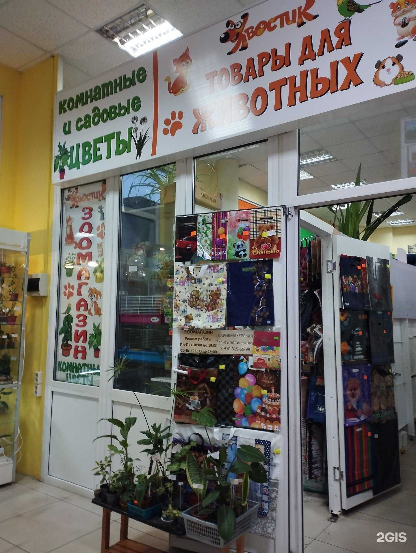 Отзывы на компанию Хвостик в Курске c фото