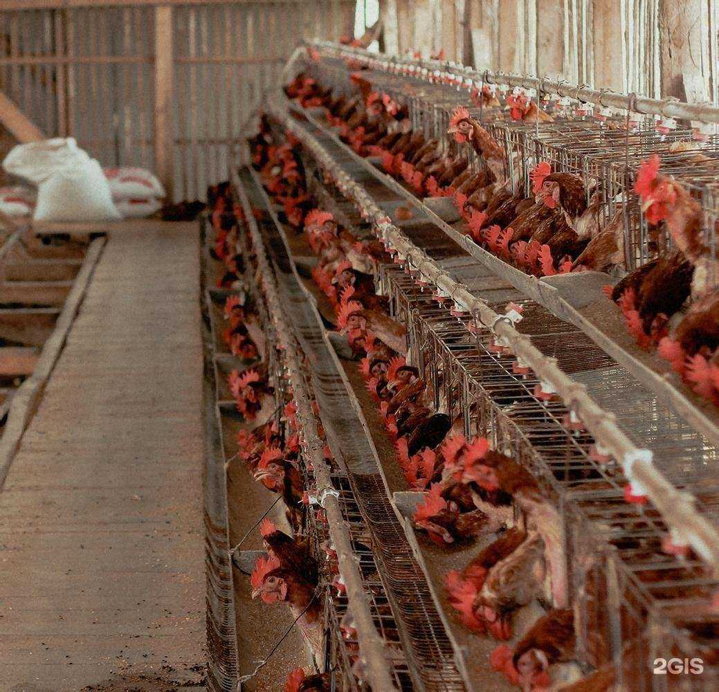 Отзывы на компанию Персональное решение в Новосибирске c фото