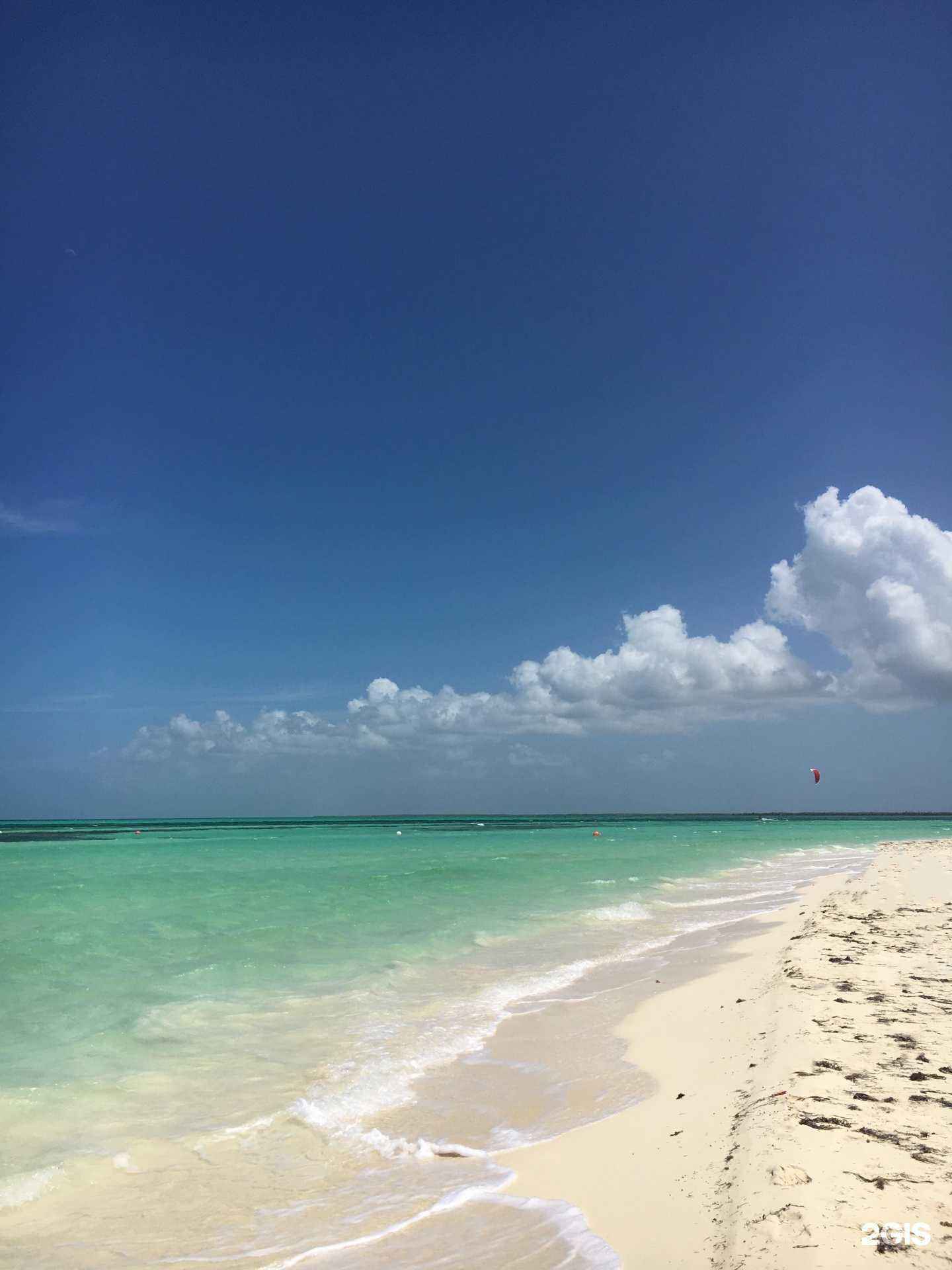 Отзывы на компанию Mango в г. Красноярск c фото