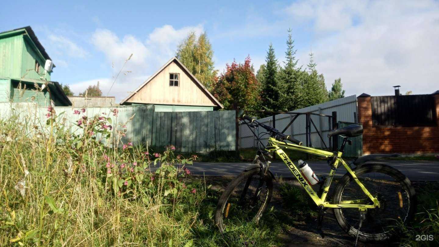 Отзывы на компанию Пункт проката беговых лыж в г. Петрозаводск c фото