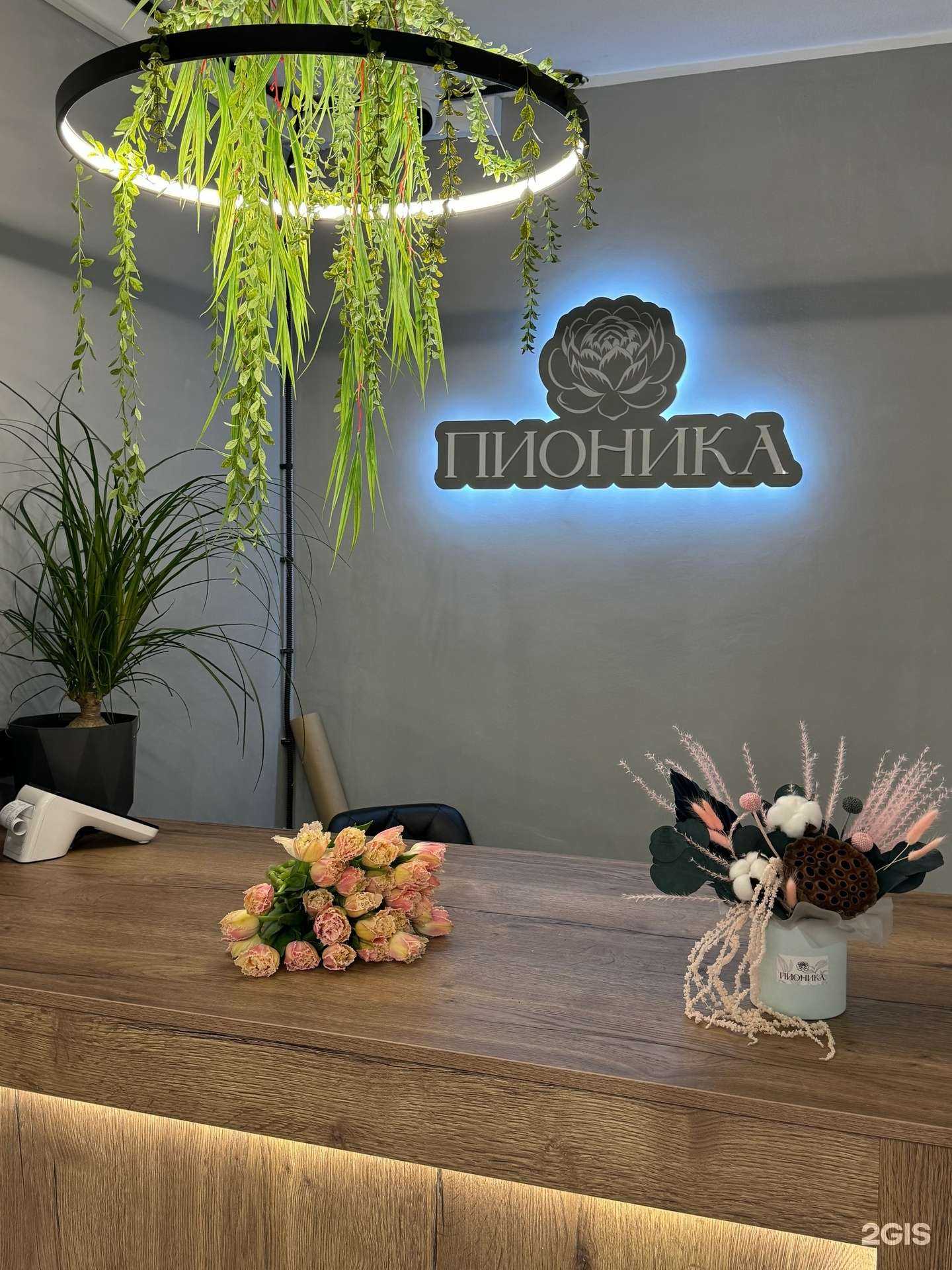 Отзывы на компанию Пионика в Северодвинске c фото