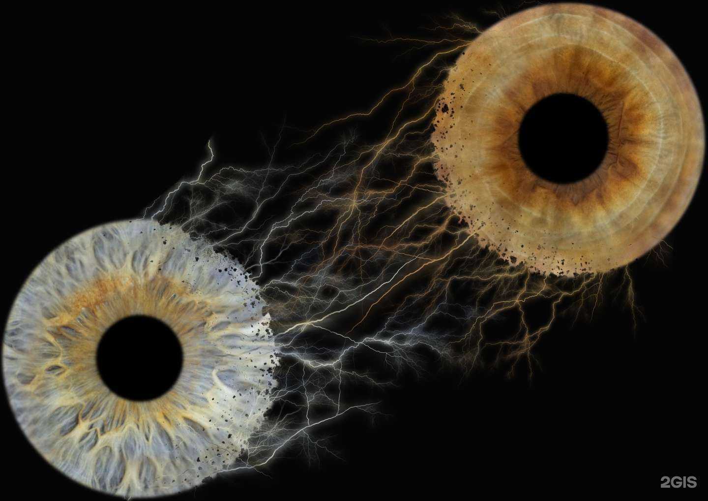 Отзывы на компанию Твое Око в Ульяновске c фото