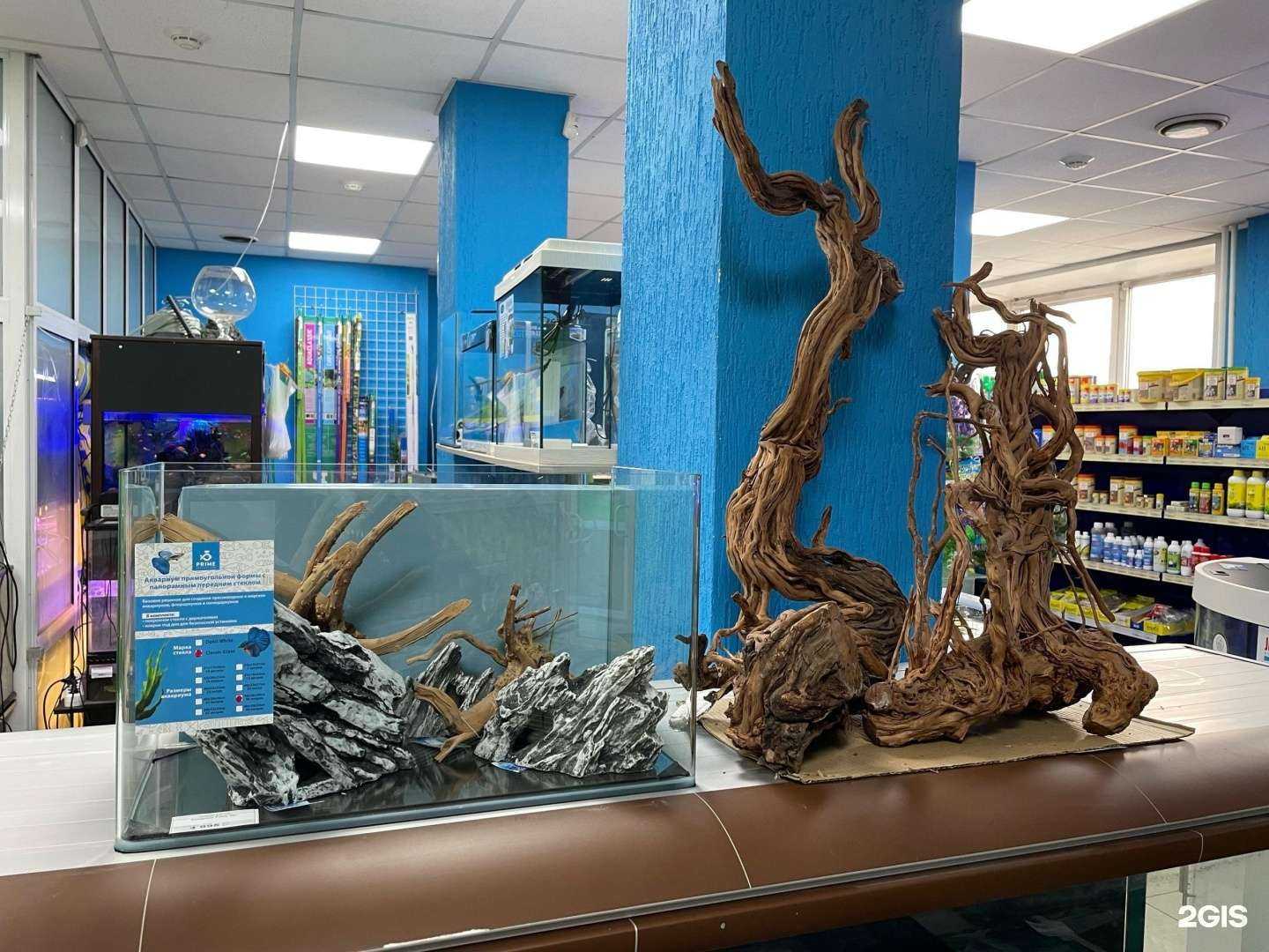 Отзывы на компанию Аквариум-зоомир в г. Красноярск c фото