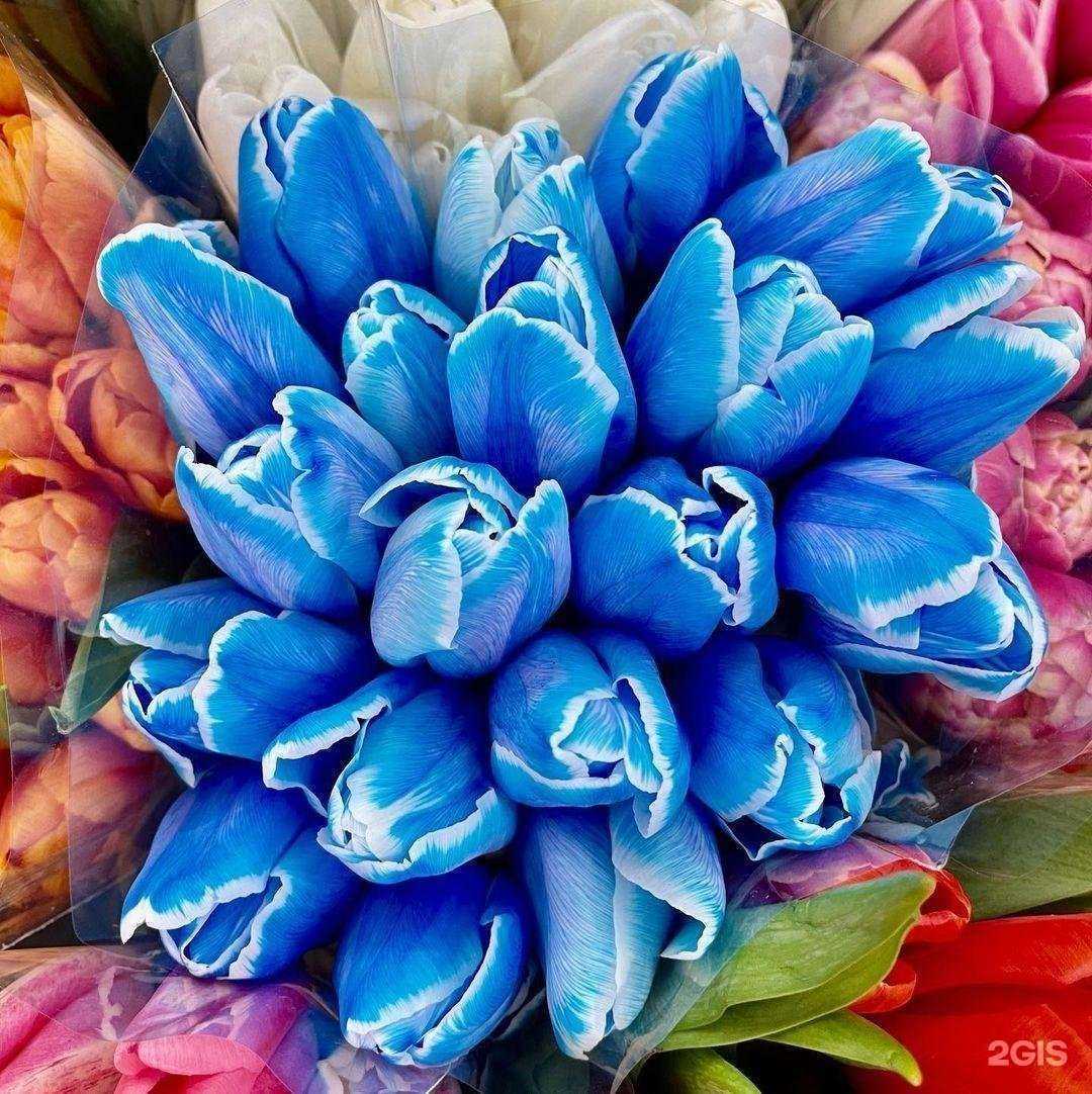 Отзывы на компанию Liana в Новосибирске c фото