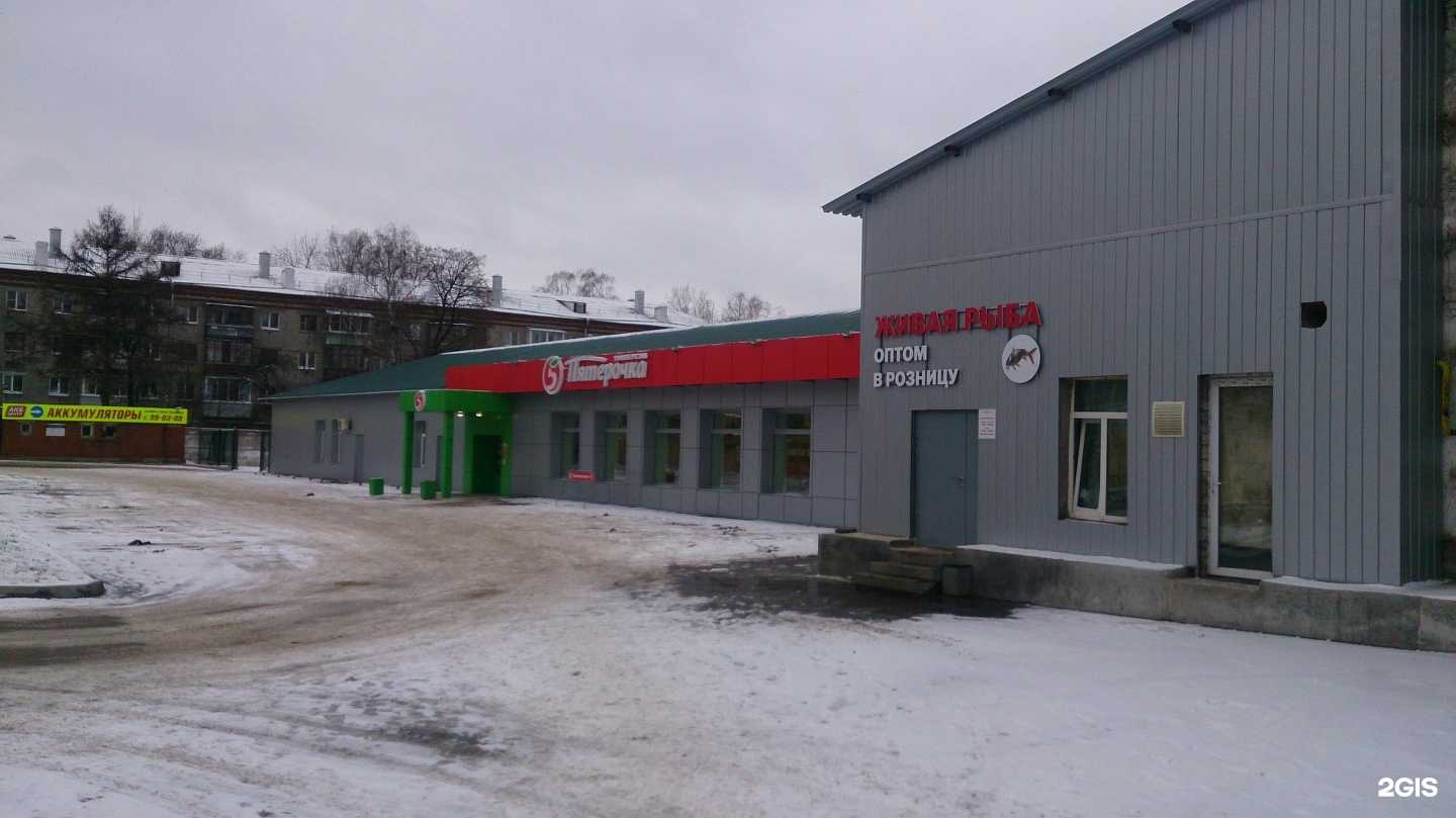 Отзывы на компанию Живая рыба в Рязани c фото - фотография 2 из 2