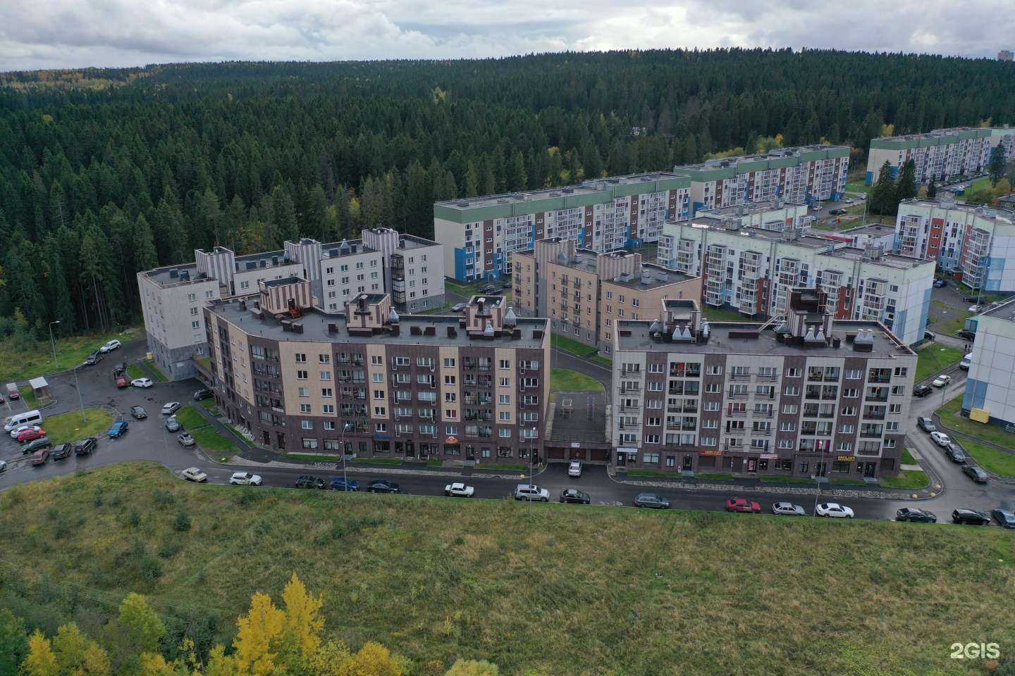 Отзывы на компанию Светлана в Петрозаводске c фото - фотография 2 из 2