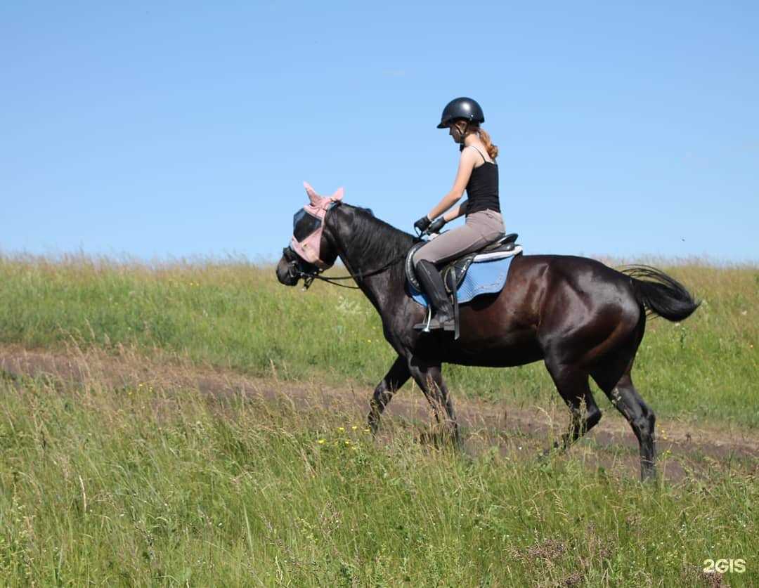 Отзывы на компанию Мальвина в Уфе c фото