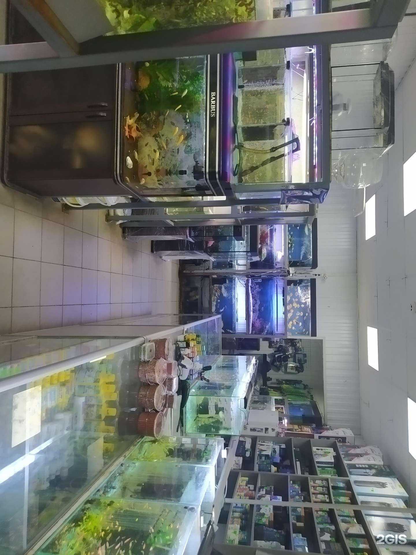 Отзывы на компанию Fish`s house в Волгограде c фото