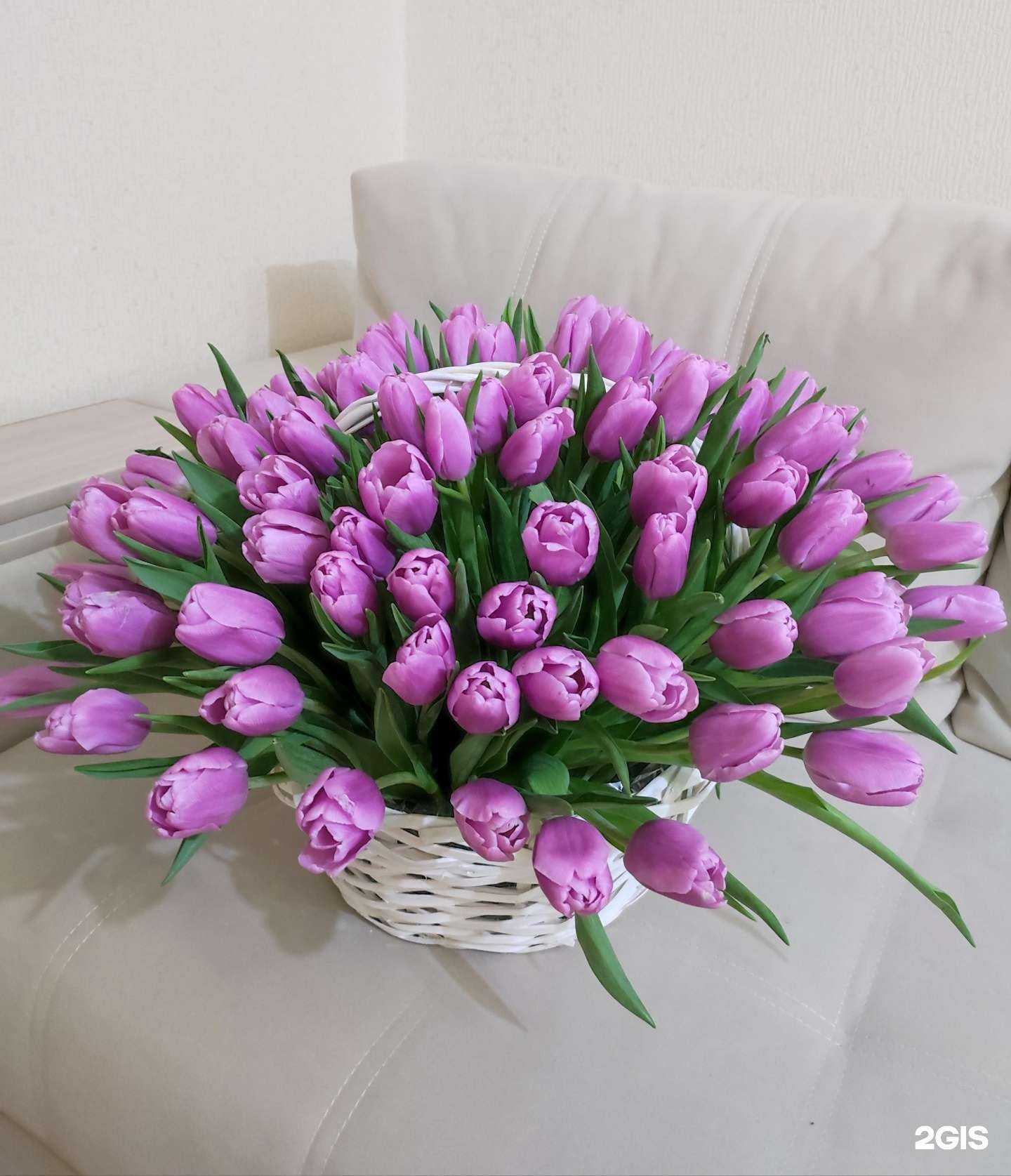 Отзывы на компанию Диана в г. Йошкар-Ола c фото