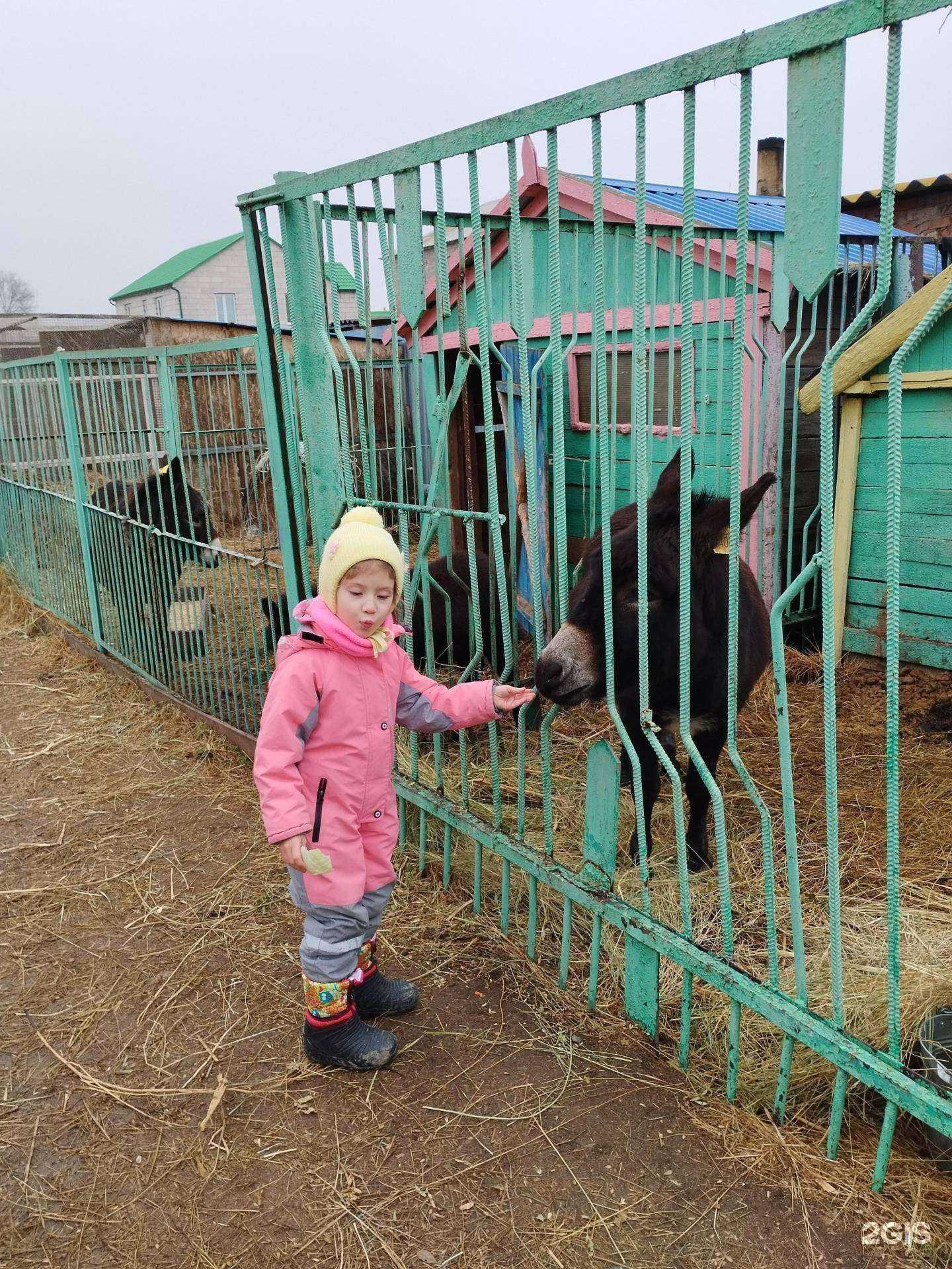 Отзывы на компанию Эколого-биологический центр в Астрахани c фото - фотография 2 из 2