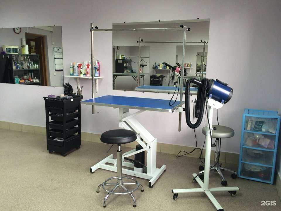 Отзывы на компанию BarkЛай в г. Красноярск c фото