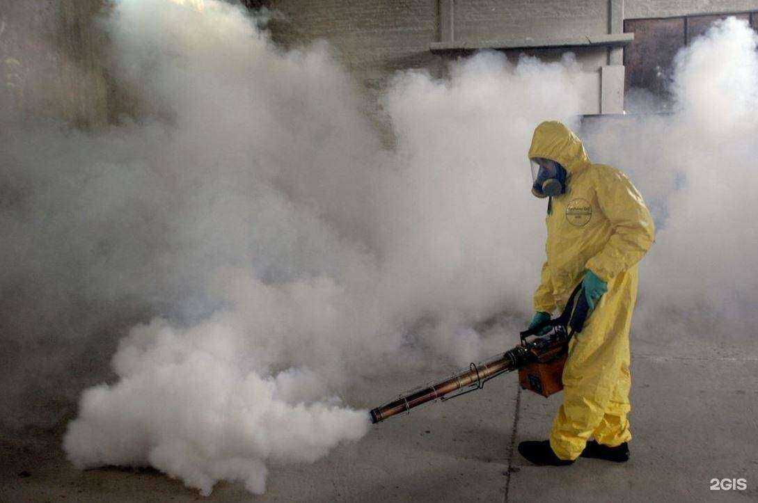 Отзывы на компанию ДезКлин в г. Челябинск c фото